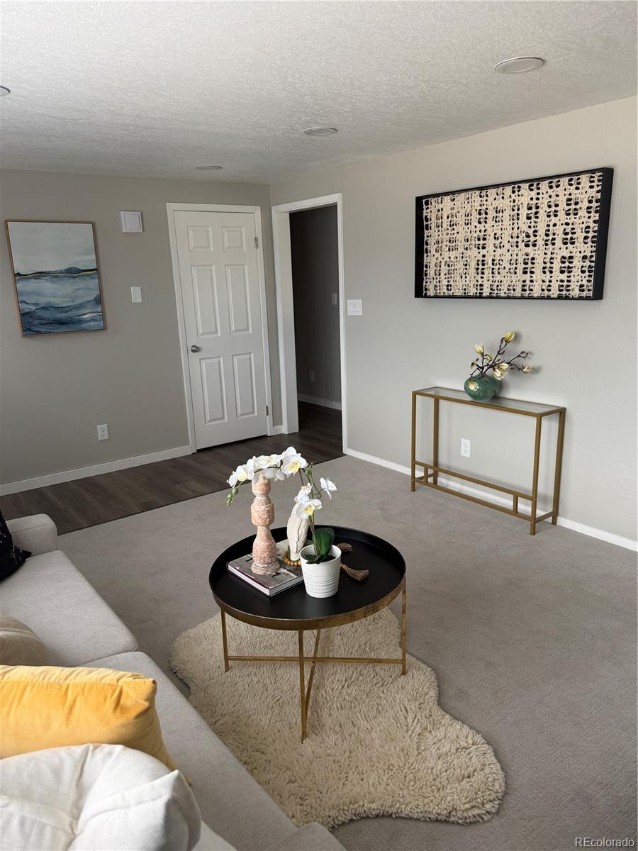 MLS Image #8 for 11898 s clayson street,parker, Colorado