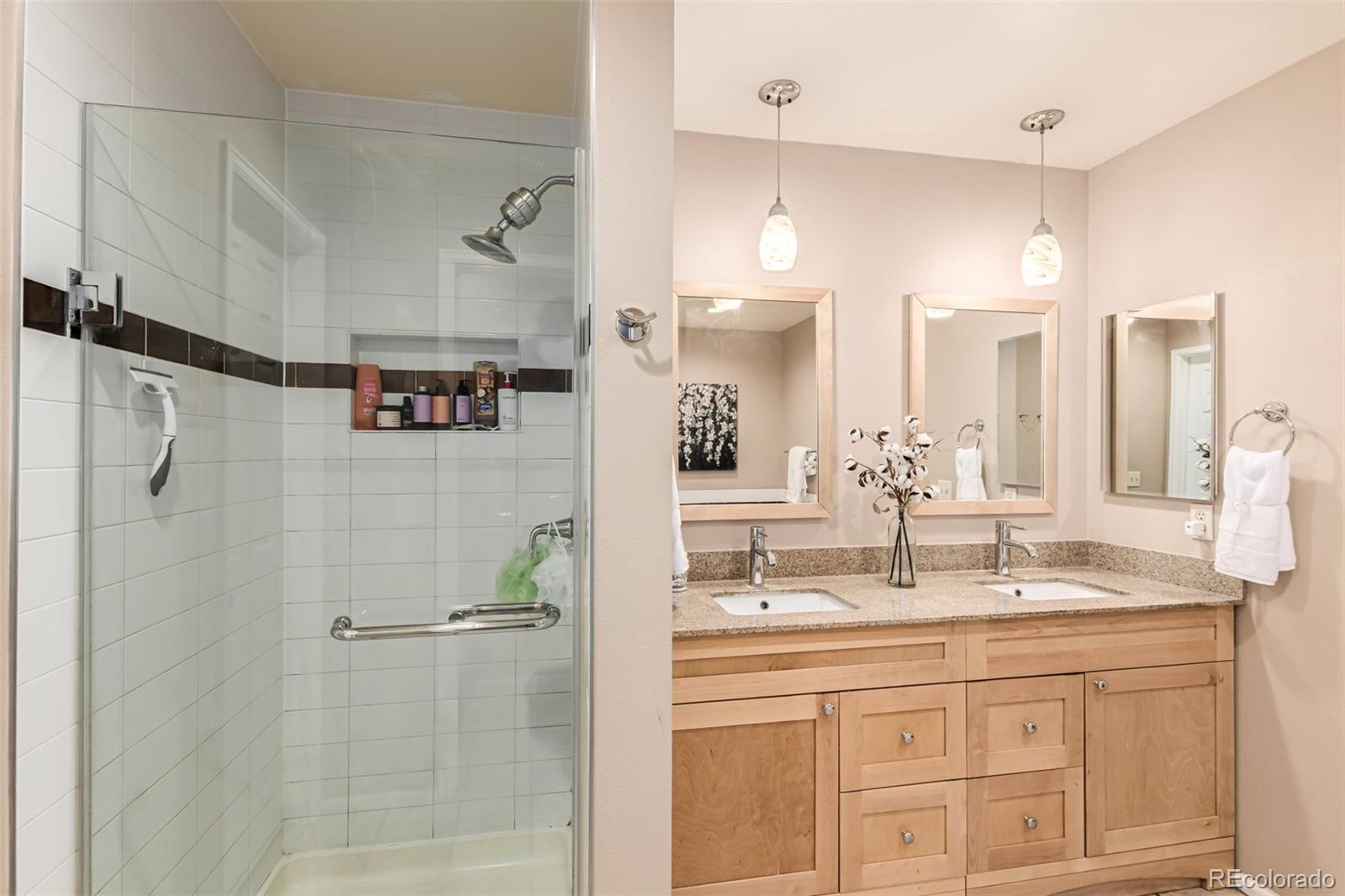 MLS Image #22 for 8837  cactus flower way,highlands ranch, Colorado
