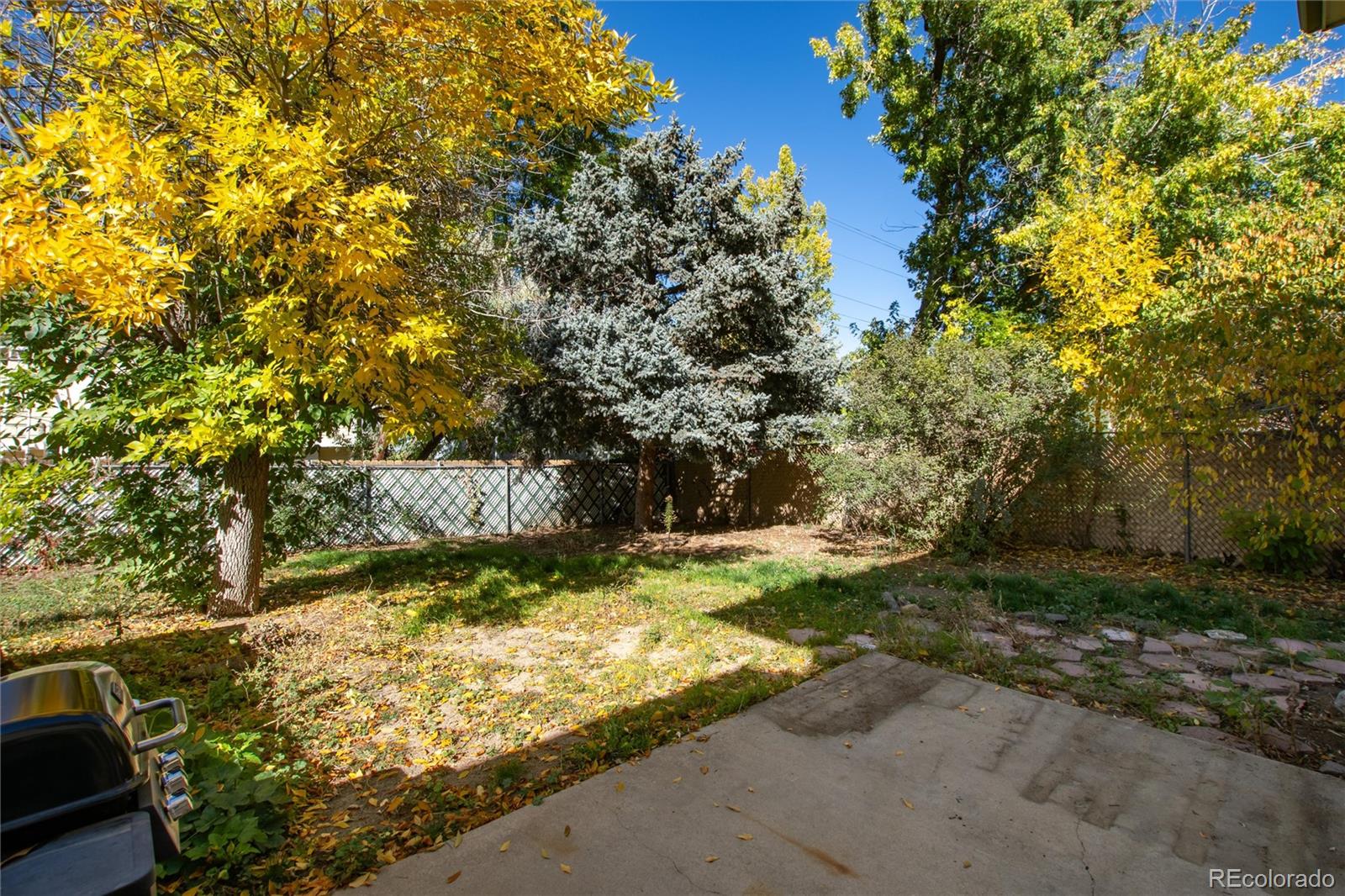 MLS Image #39 for 1157 s everett street,lakewood, Colorado