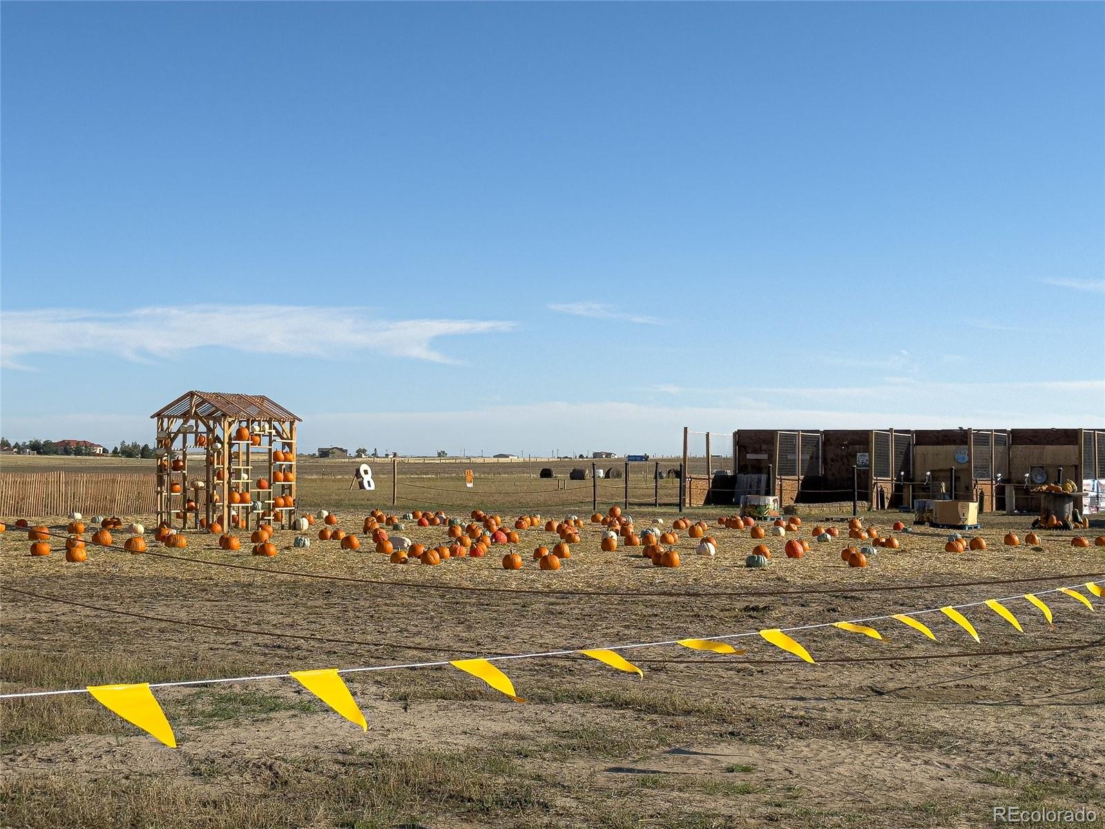 MLS Image #26 for 9  timberlake court,byers, Colorado