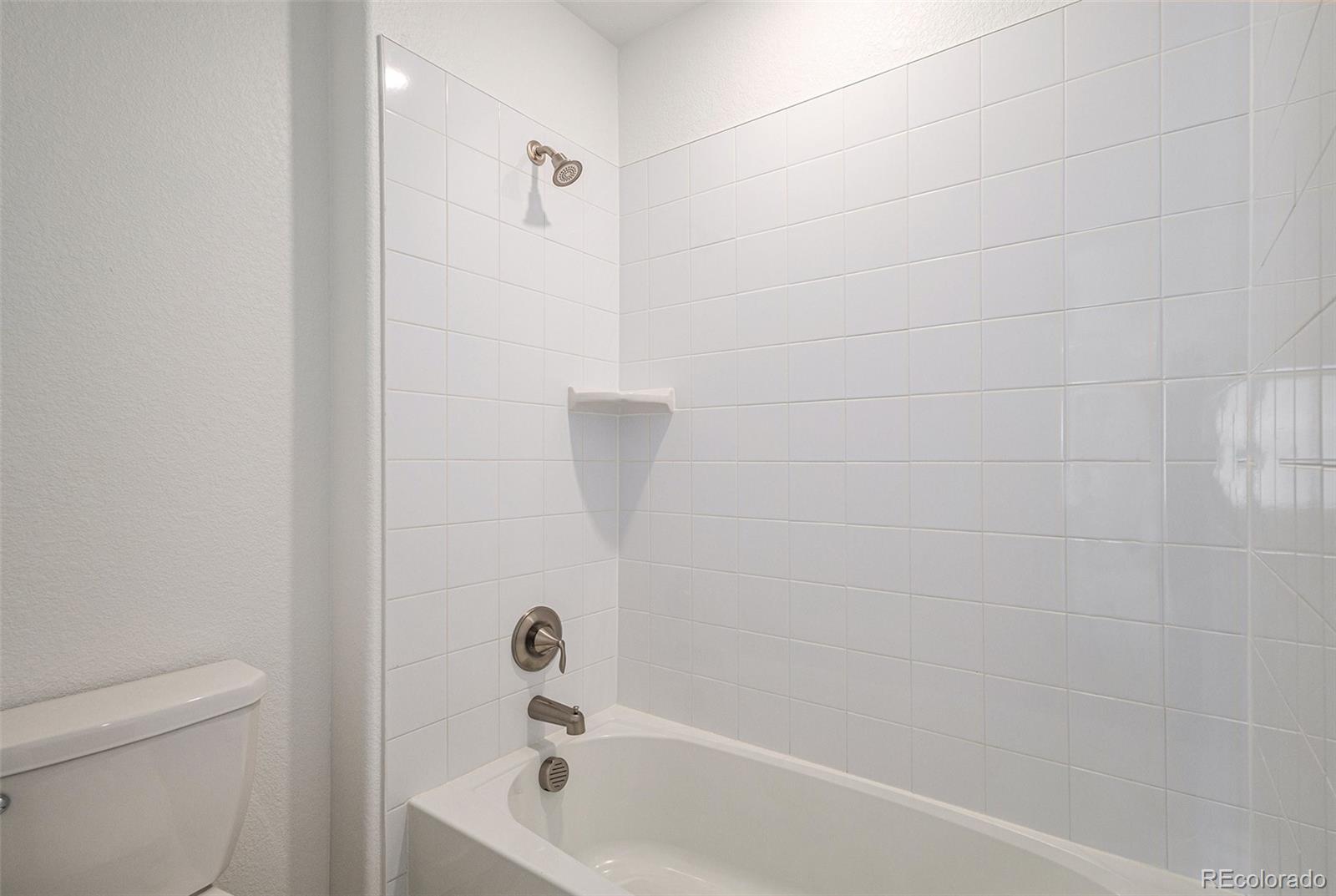 MLS Image #18 for 8387  bijou creek avenue,littleton, Colorado