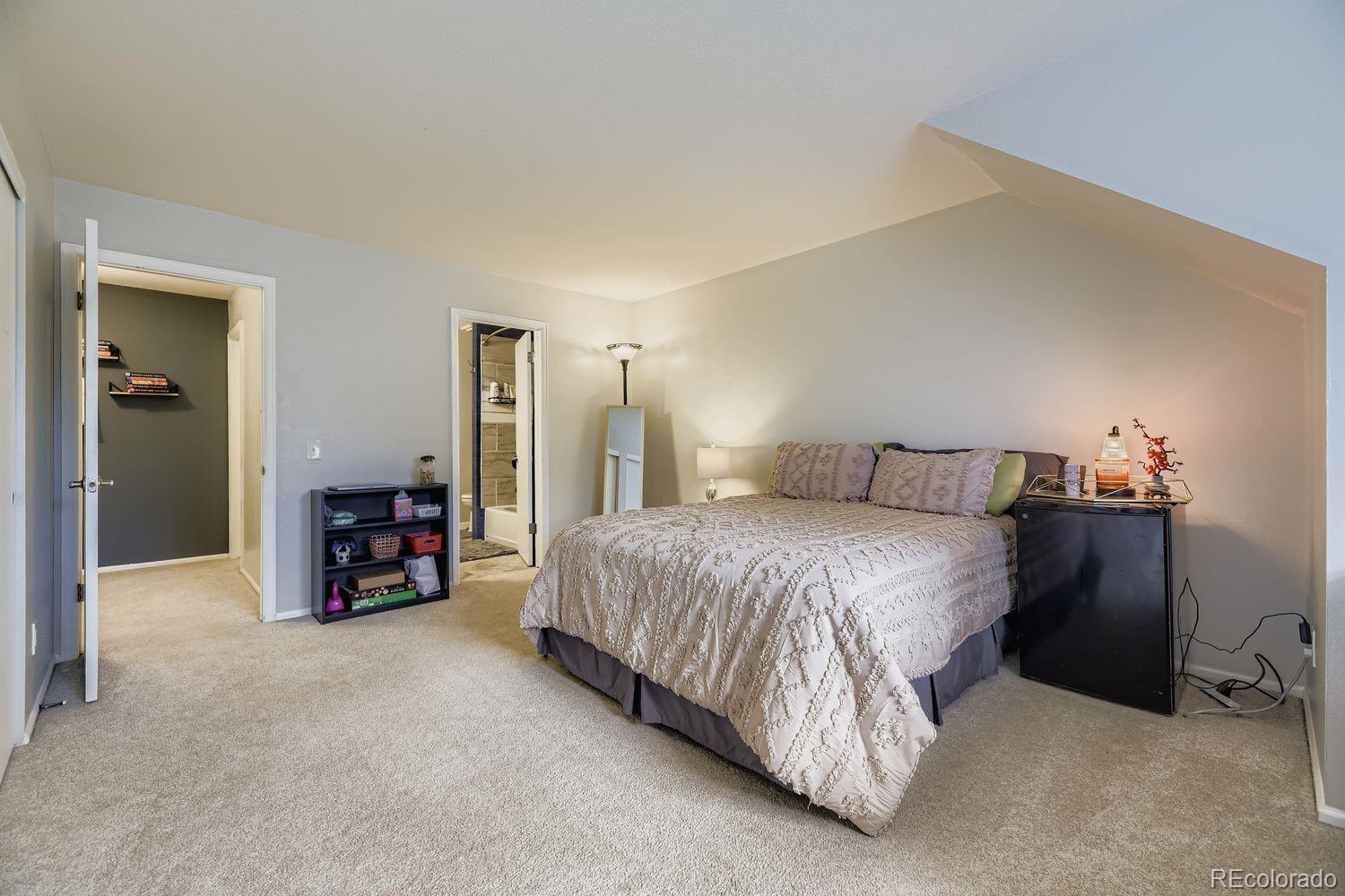 MLS Image #11 for 10355 e red mountain ,littleton, Colorado