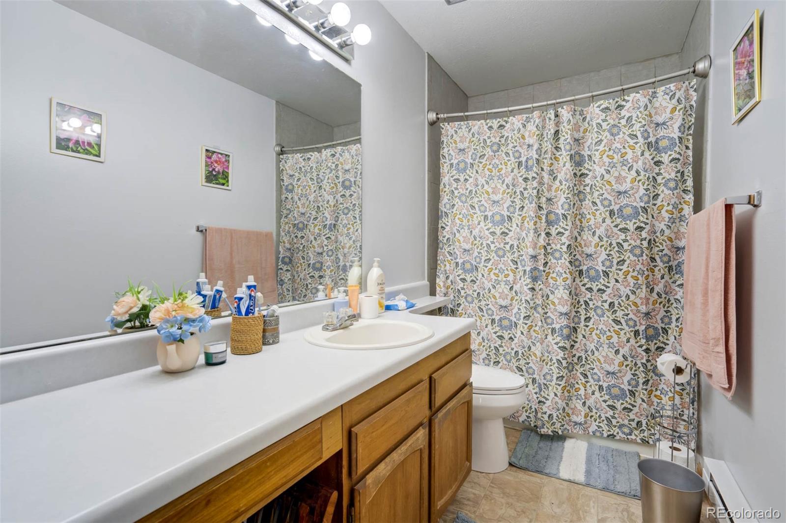 MLS Image #19 for 2387  stepping stones way ,colorado springs, Colorado