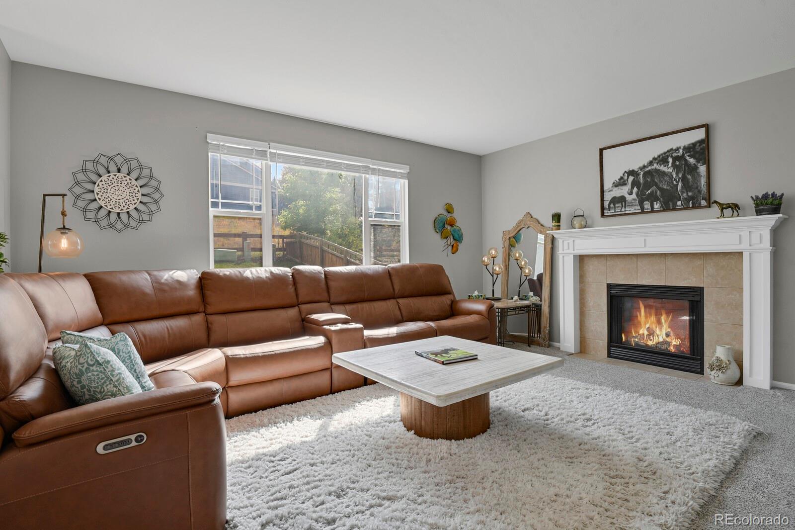 MLS Image #10 for 4064  scarlet oak court,castle rock, Colorado