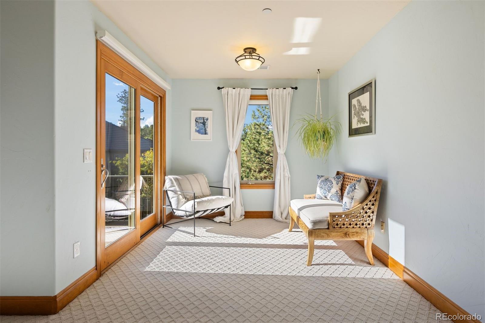 MLS Image #24 for 4775  silver pine drive,castle rock, Colorado