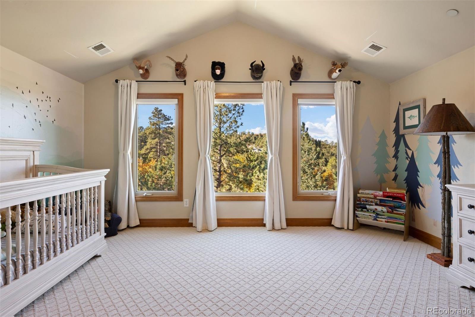 MLS Image #29 for 4775  silver pine drive,castle rock, Colorado