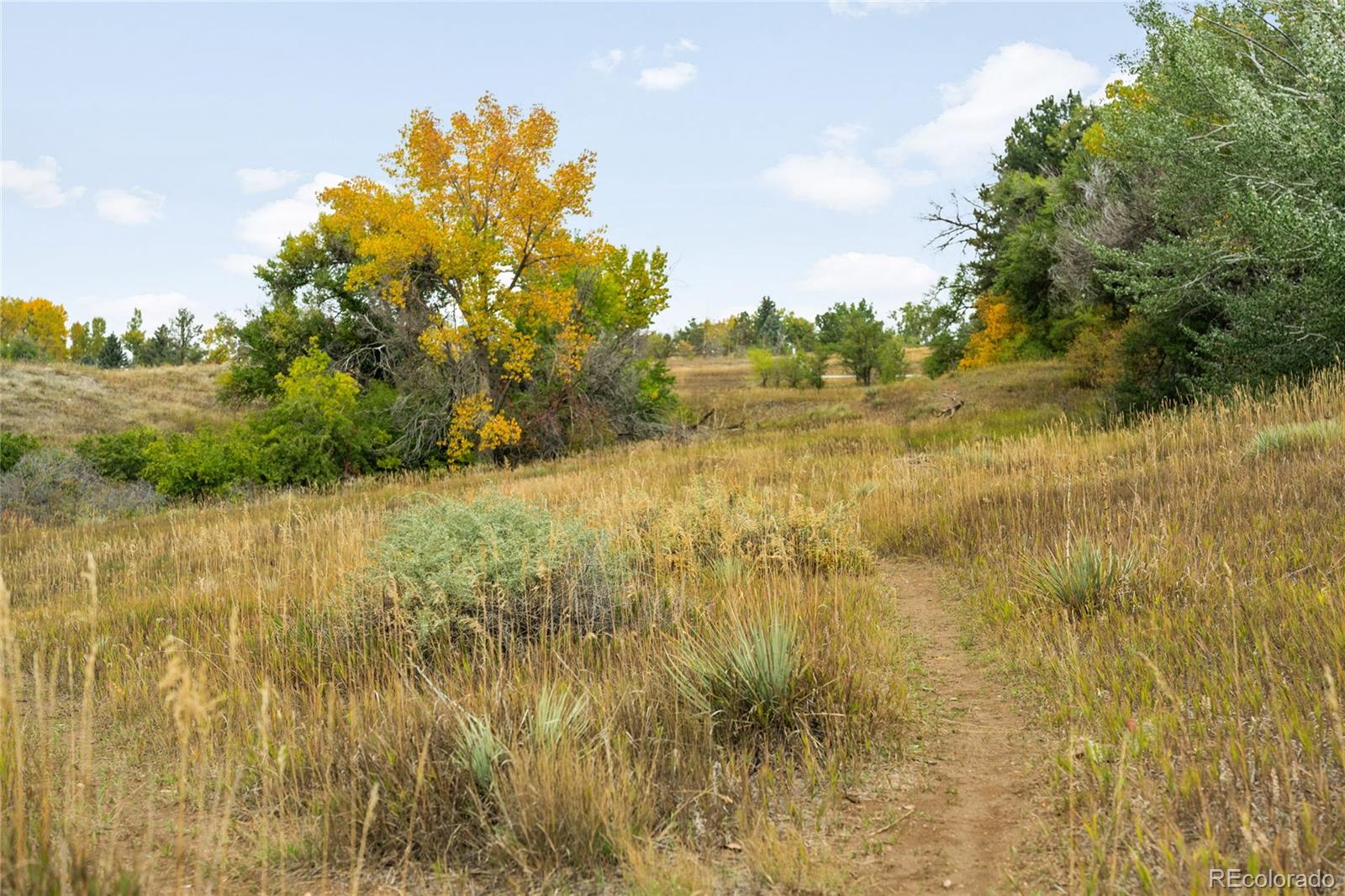MLS Image #33 for 6831 w yale avenue,lakewood, Colorado