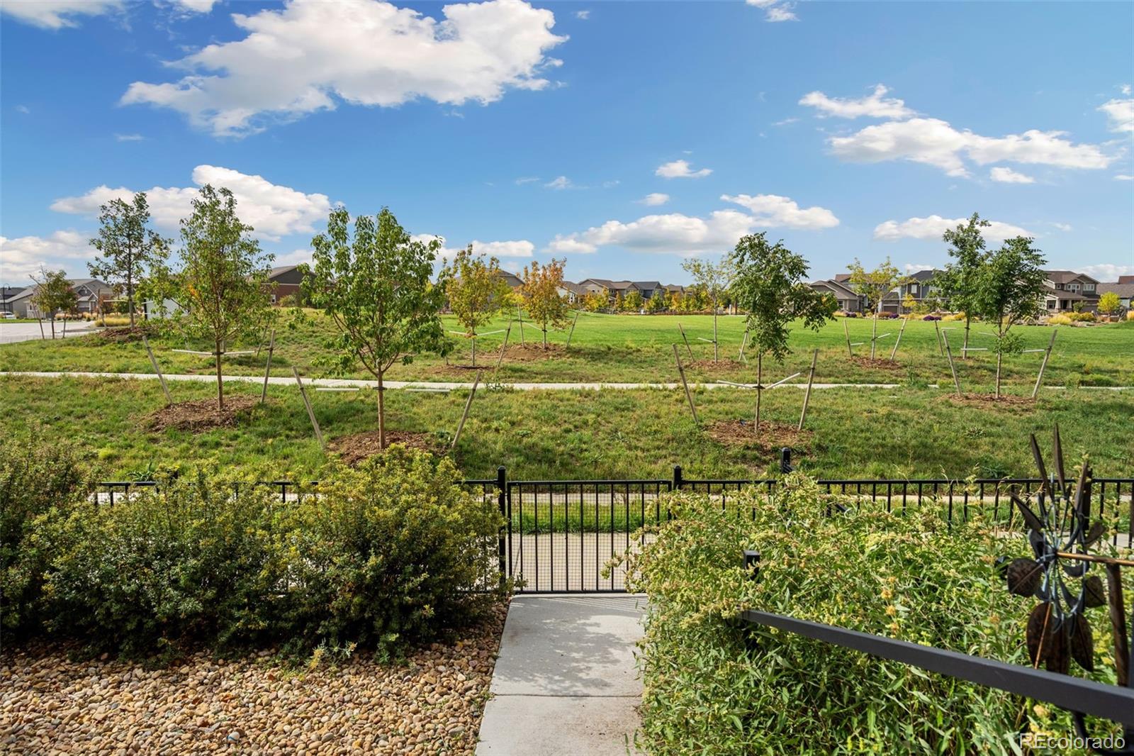 MLS Image #4 for 3321  red mountain drive,loveland, Colorado