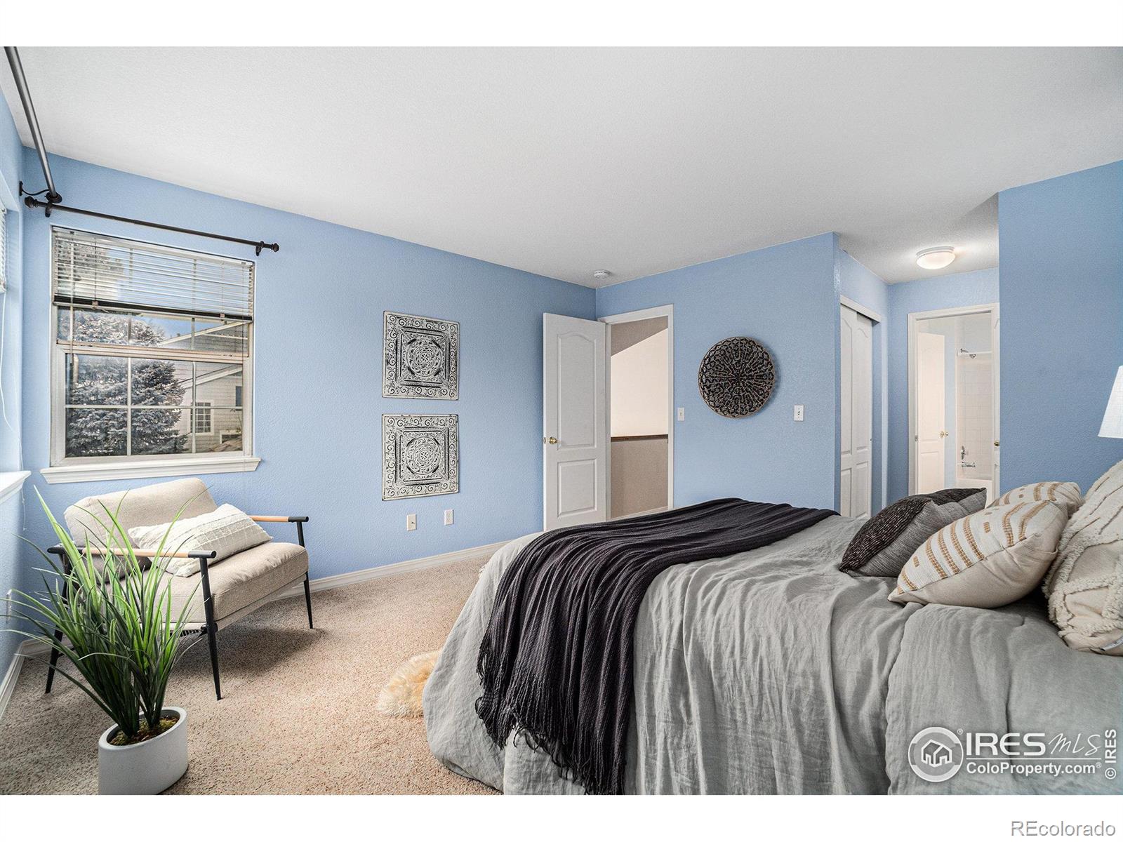 MLS Image #12 for 2602  timberwood drive,fort collins, Colorado
