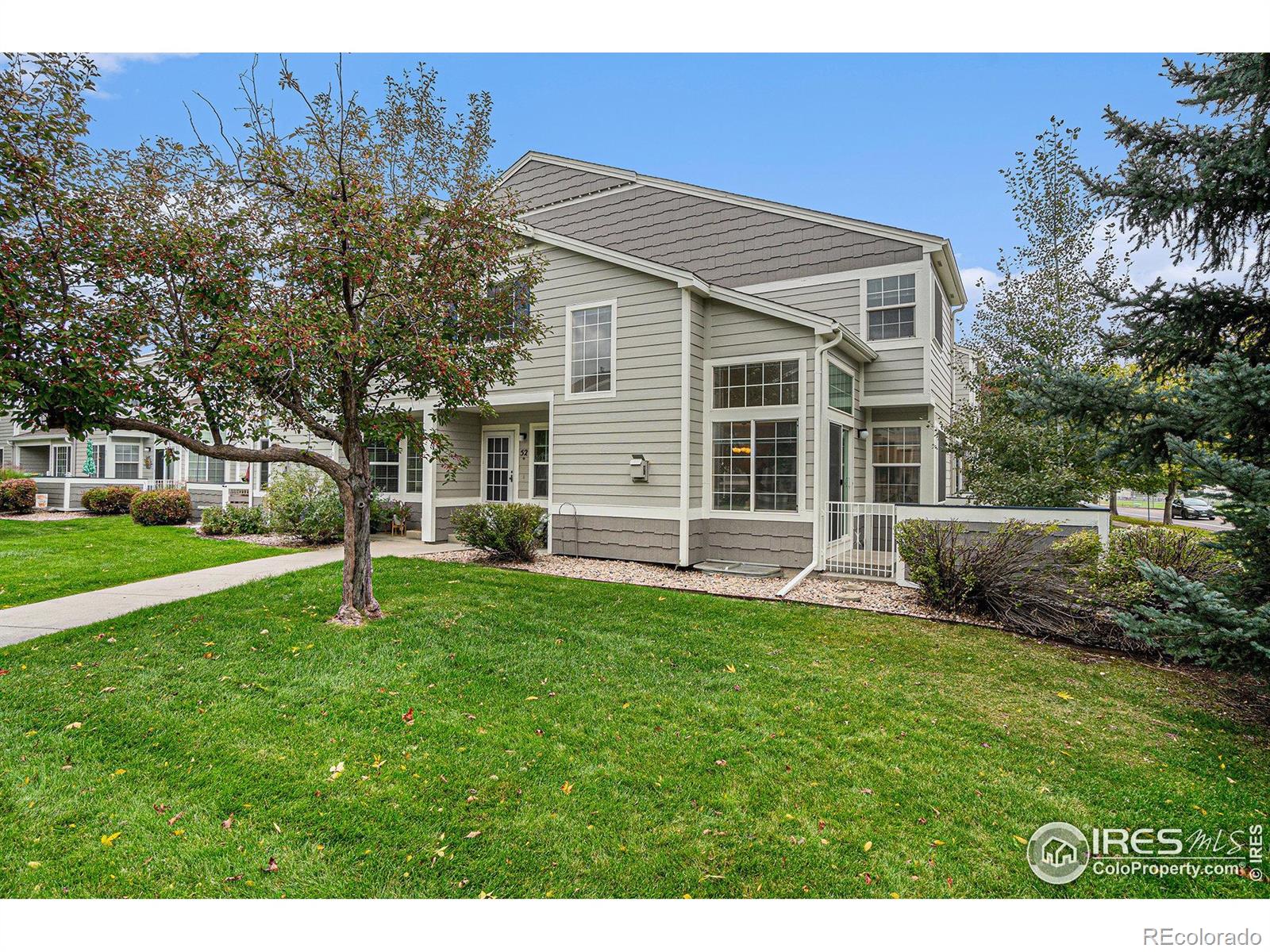 MLS Image #20 for 2602  timberwood drive,fort collins, Colorado