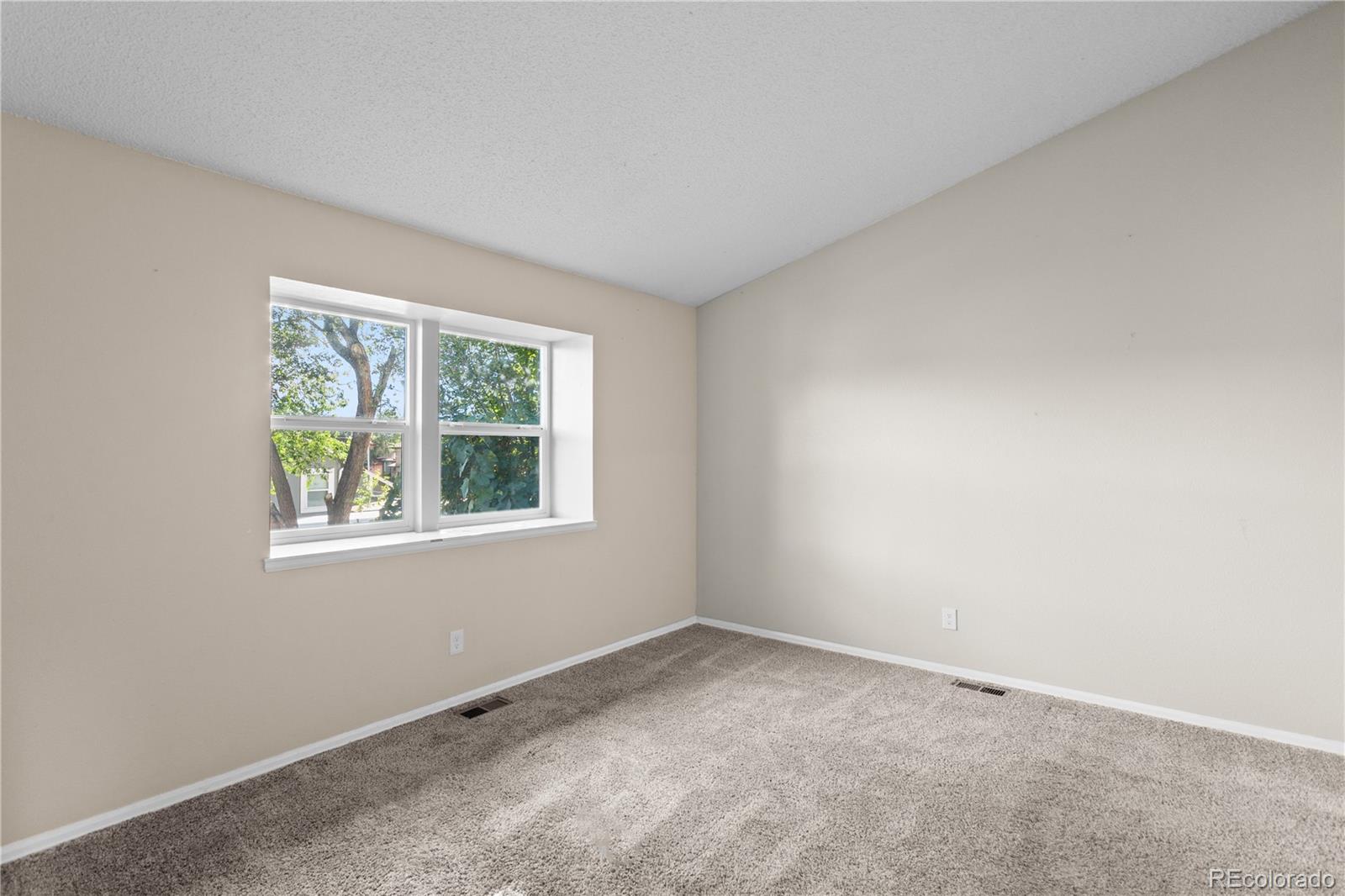 MLS Image #15 for 4511  sunnyhill drive,colorado springs, Colorado