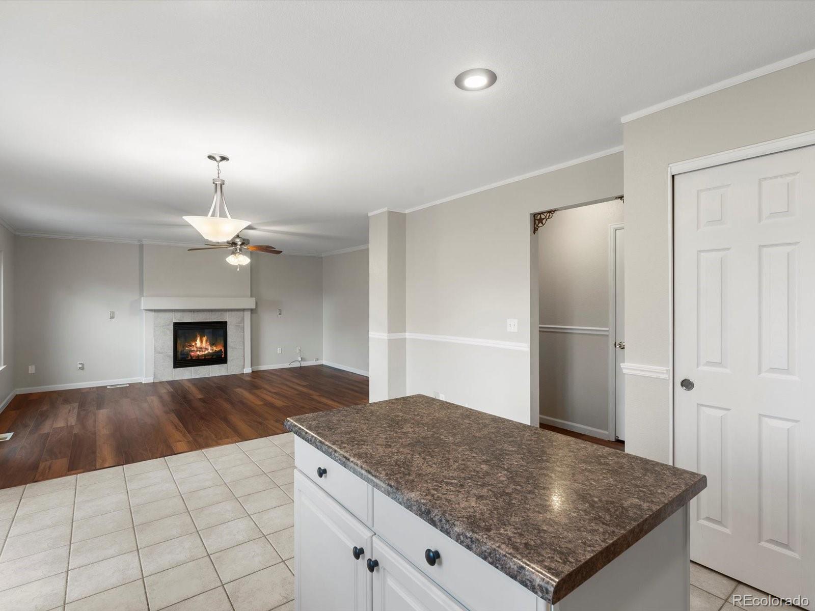 MLS Image #10 for 11710  meadowood lane,parker, Colorado
