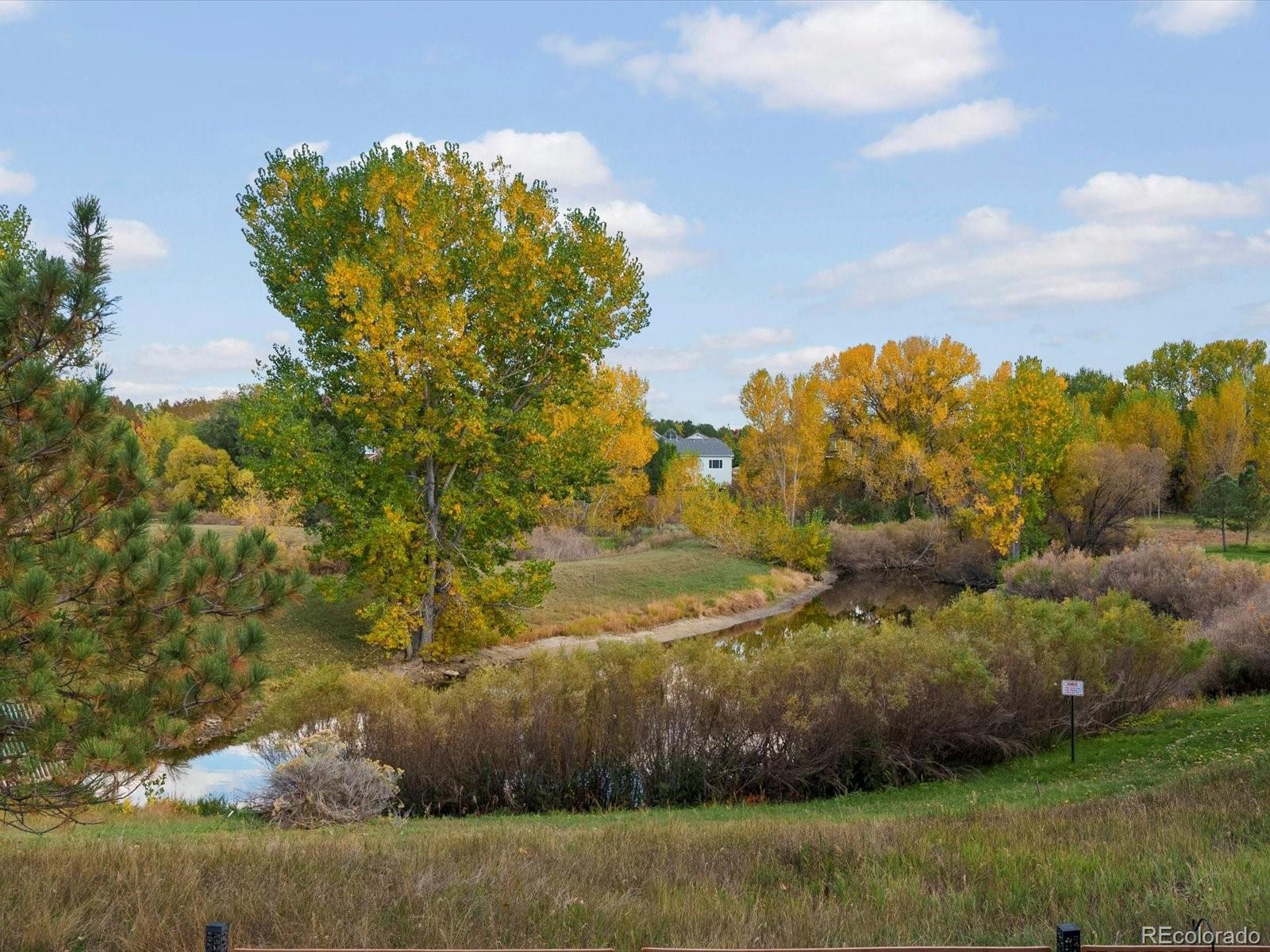 MLS Image #34 for 11710  meadowood lane,parker, Colorado