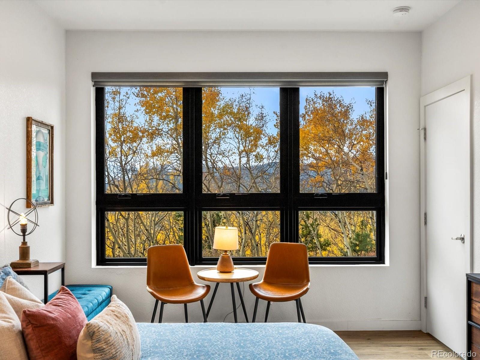 MLS Image #4 for 1044  alps hill road,central city, Colorado