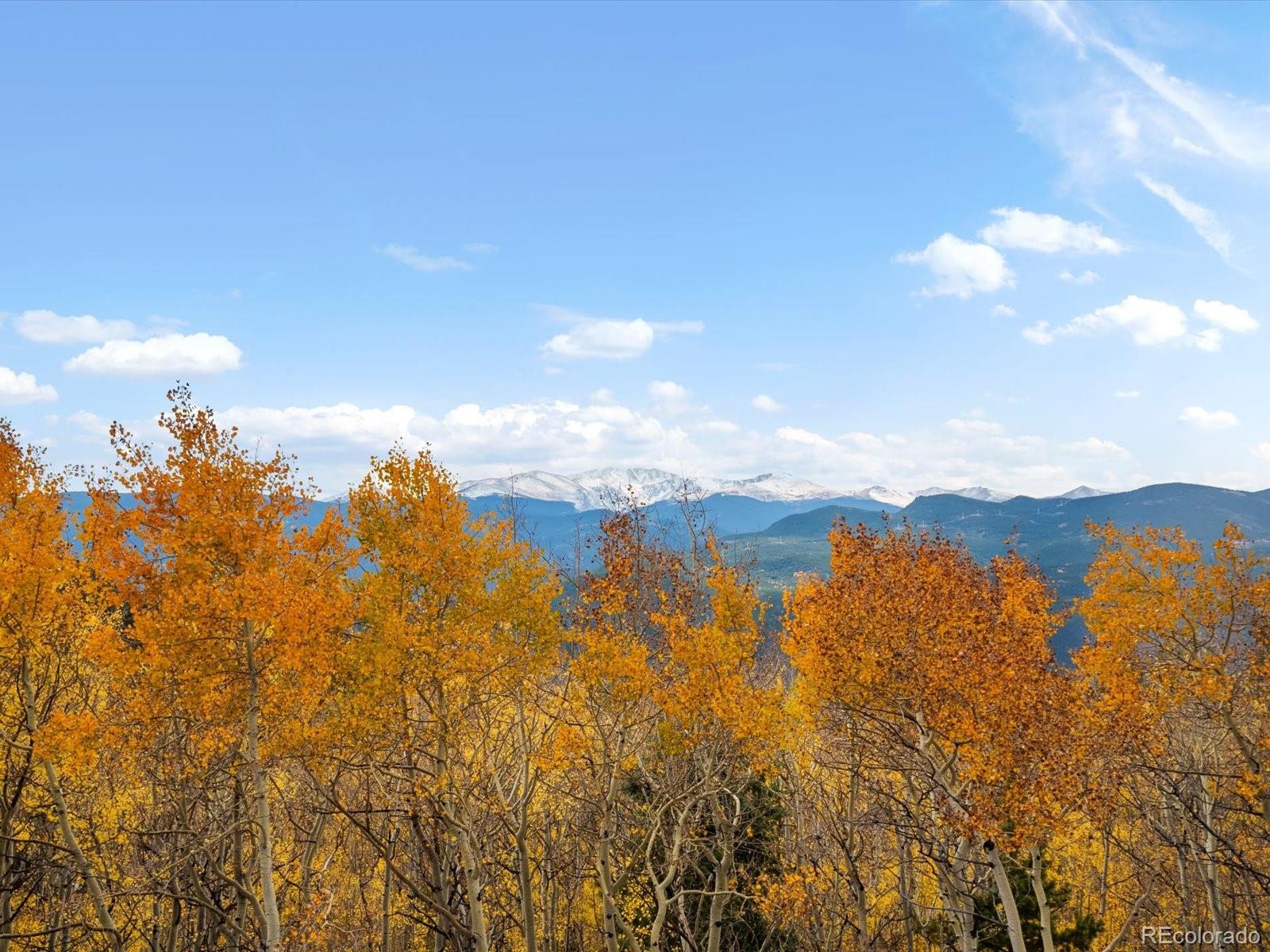 MLS Image #41 for 1044  alps hill road,central city, Colorado