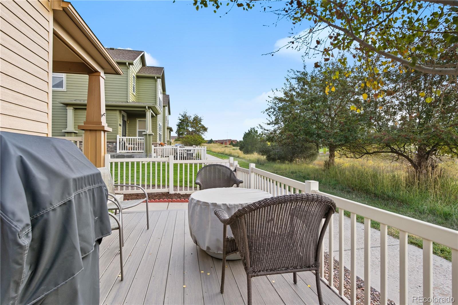 MLS Image #39 for 3669  pecos trail ,castle rock, Colorado