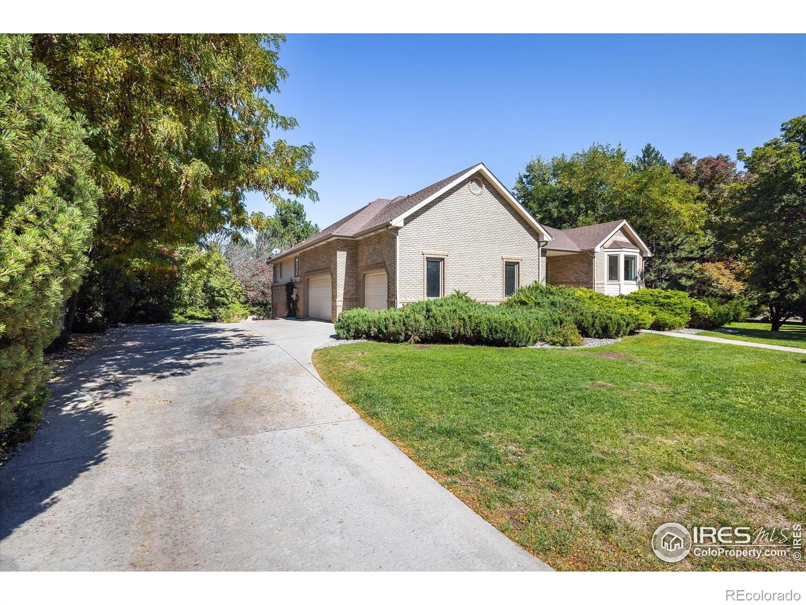 MLS Image #3 for 2520  columbine circle,lafayette, Colorado