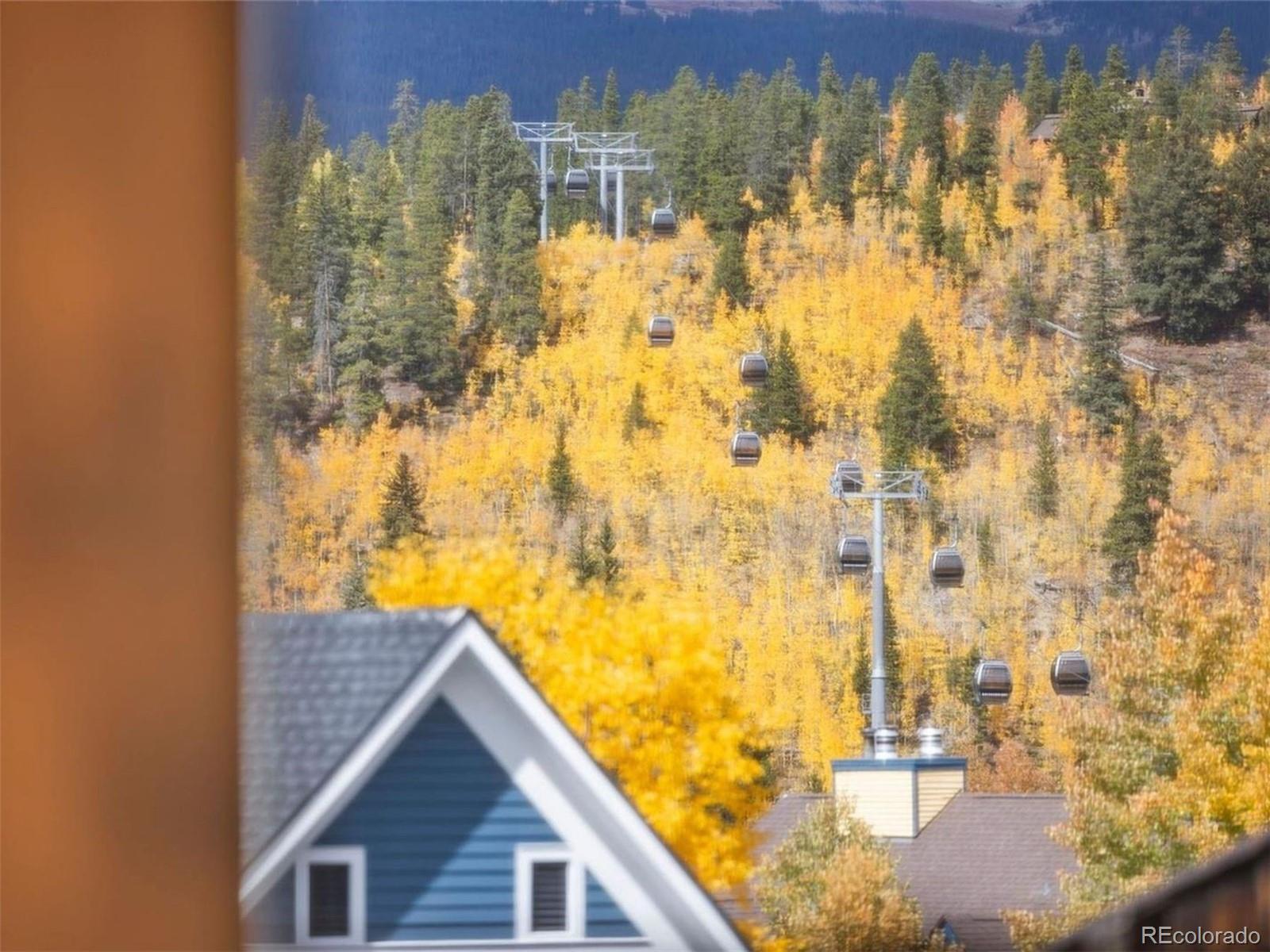 MLS Image #21 for 203 n ridge street,breckenridge, Colorado