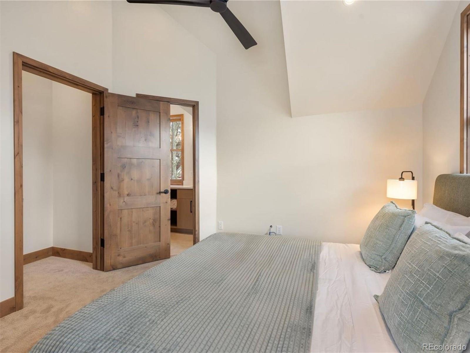 MLS Image #30 for 203 n ridge street,breckenridge, Colorado