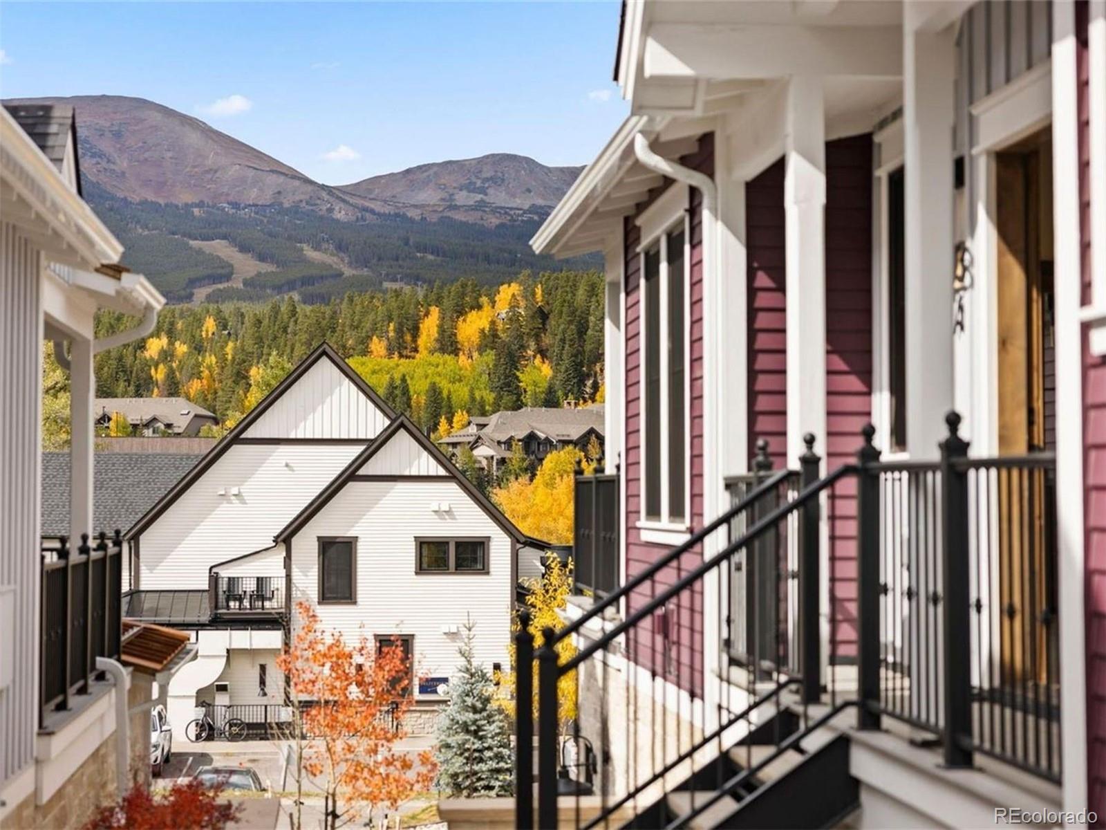 MLS Image #7 for 203 n ridge street,breckenridge, Colorado