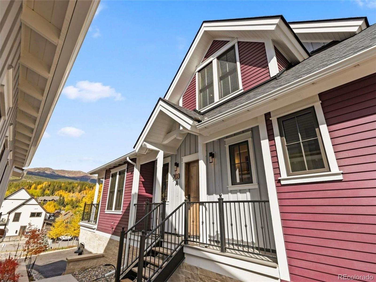 MLS Image #8 for 203 n ridge street,breckenridge, Colorado