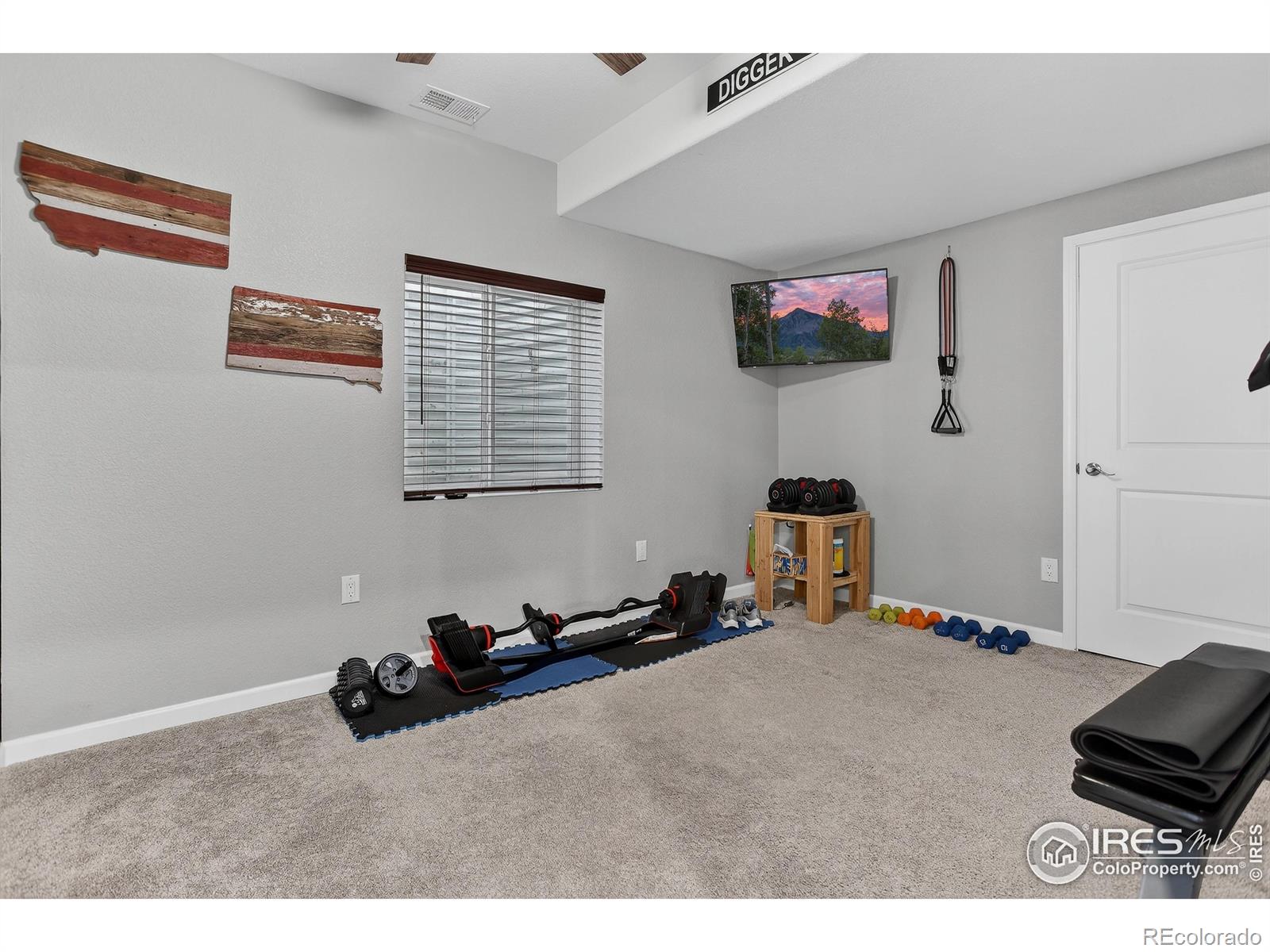 MLS Image #20 for 12299  idalia place,commerce city, Colorado