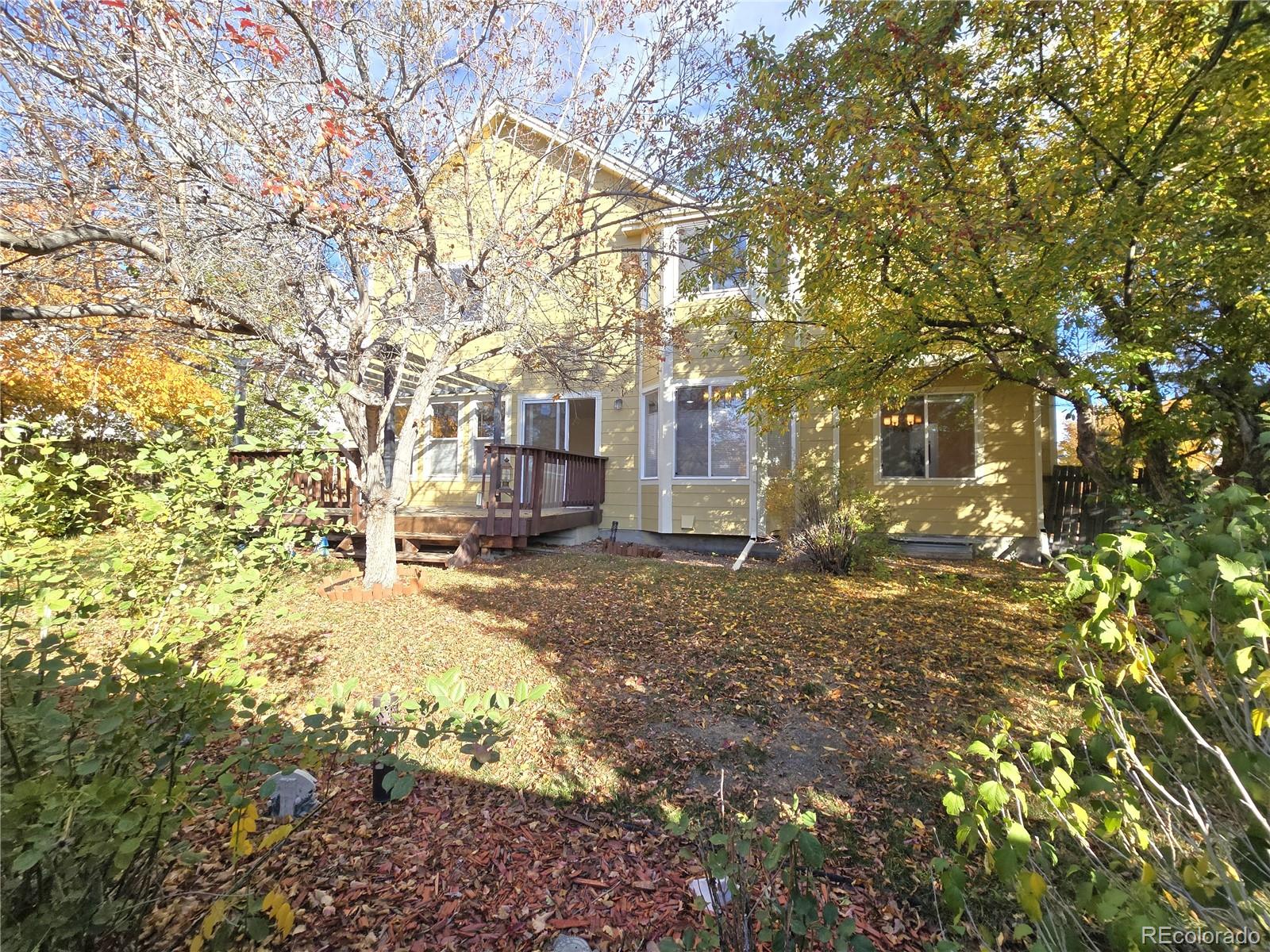 MLS Image #34 for 3574  buffalo avenue,broomfield, Colorado