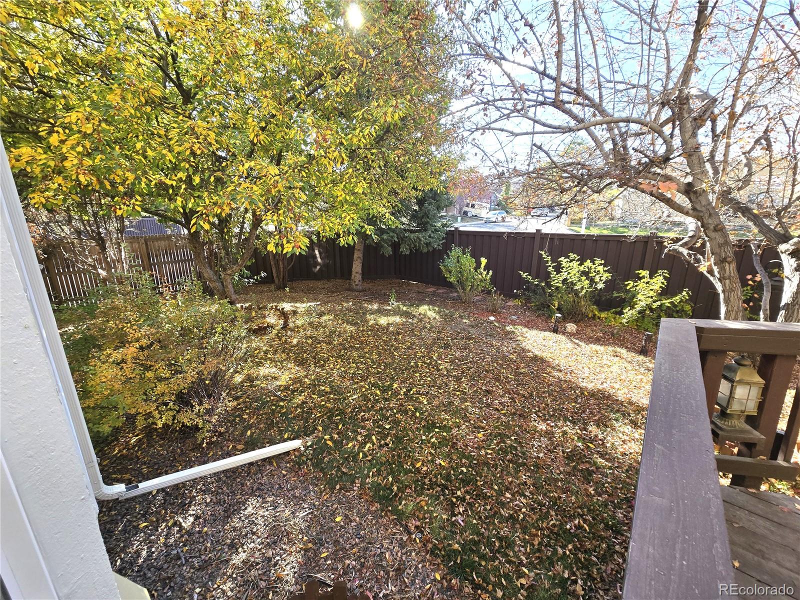 MLS Image #36 for 3574  buffalo avenue,broomfield, Colorado