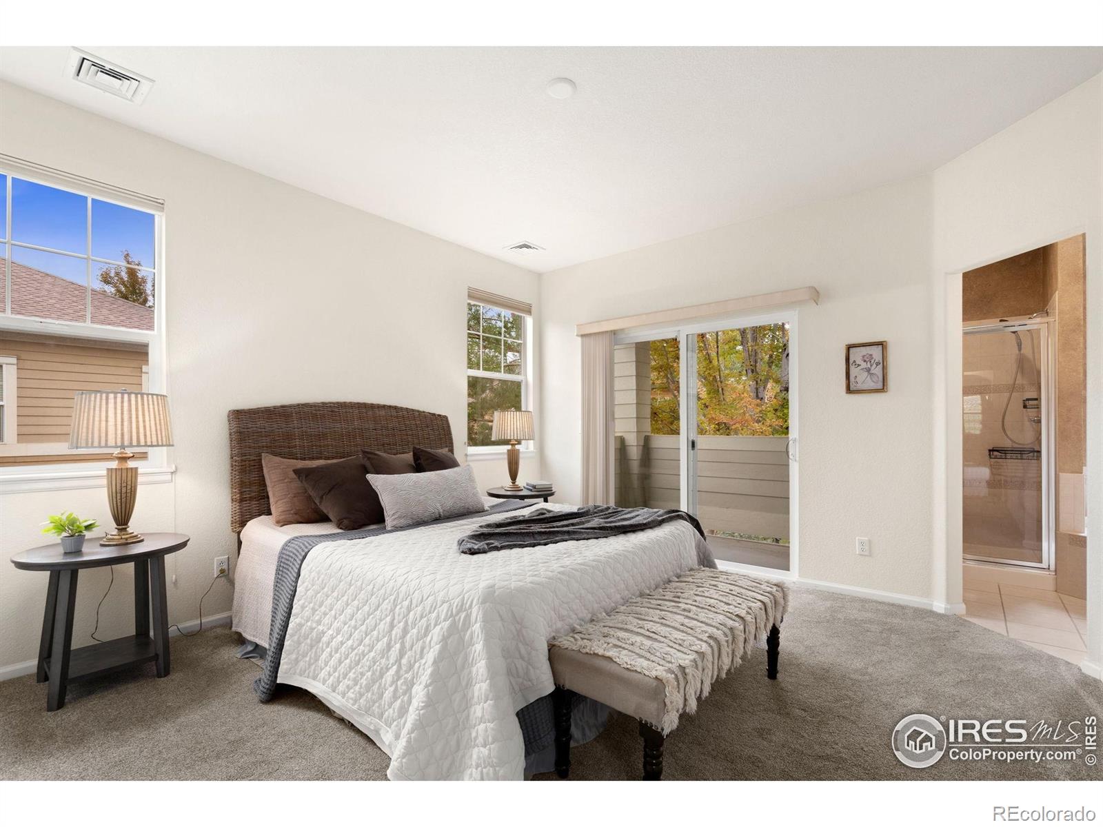 MLS Image #17 for 5162  southern cross lane,fort collins, Colorado