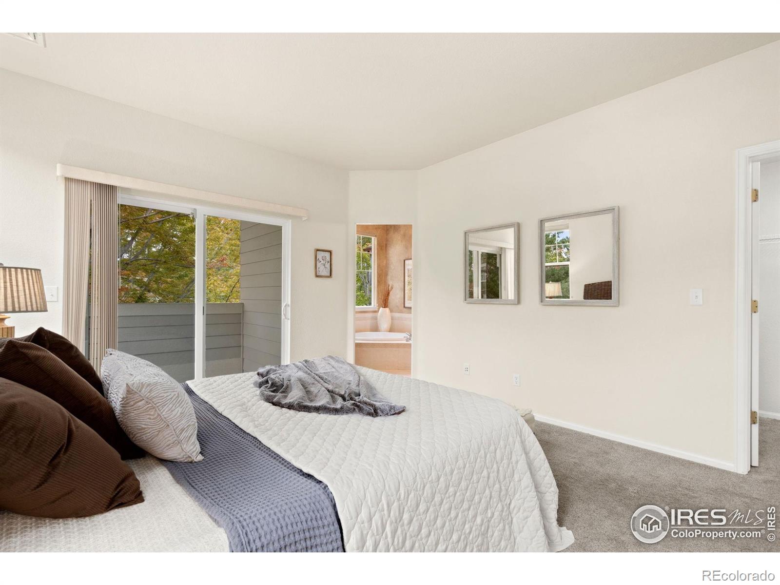 MLS Image #18 for 5162  southern cross lane,fort collins, Colorado