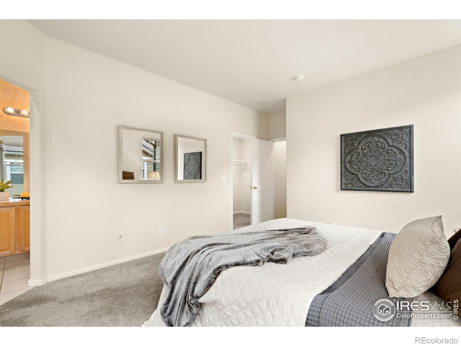 MLS Image #20 for 5162  southern cross lane,fort collins, Colorado