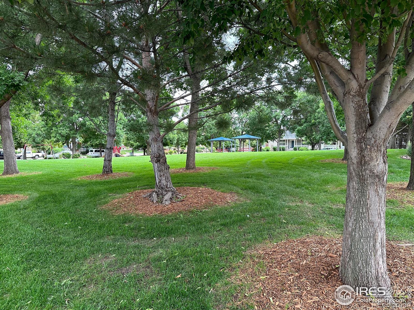 MLS Image #30 for 5162  southern cross lane,fort collins, Colorado