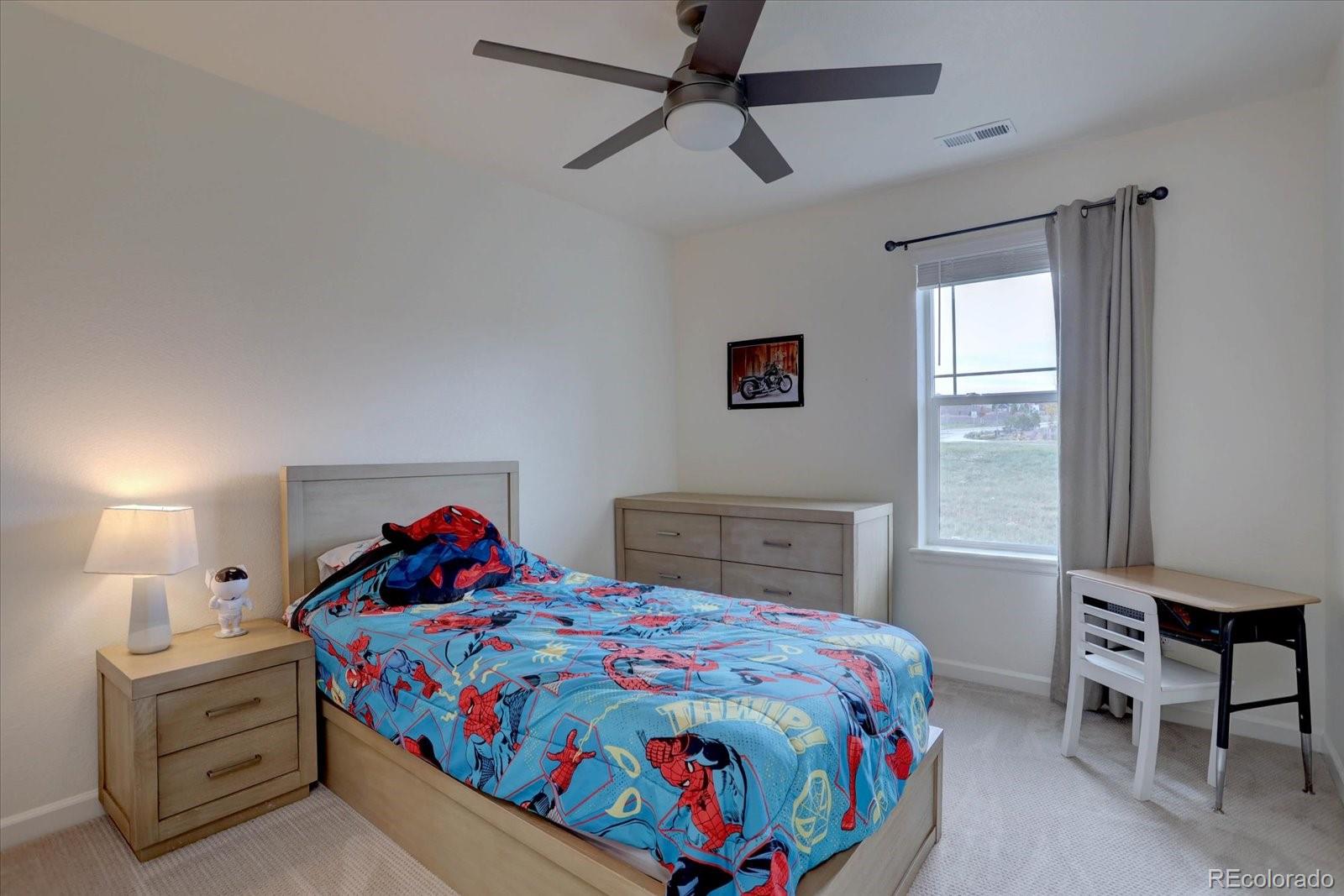 MLS Image #21 for 1972  rosette place,castle rock, Colorado