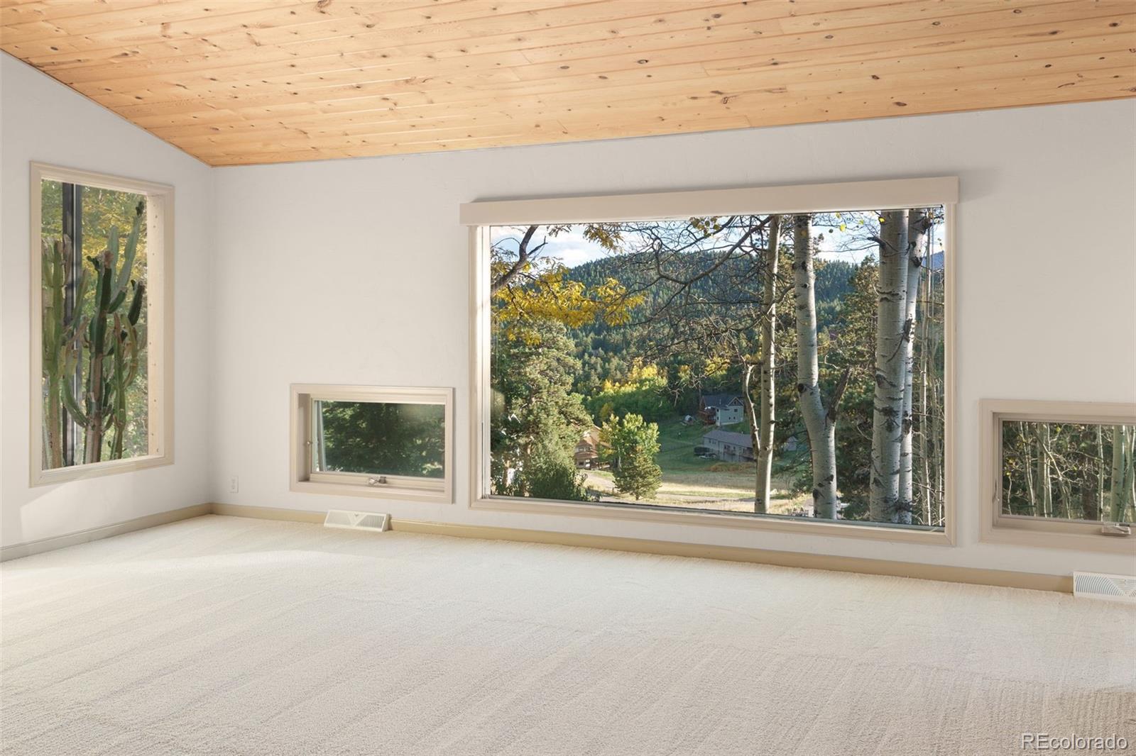 MLS Image #13 for 31753  miwok trail,evergreen, Colorado