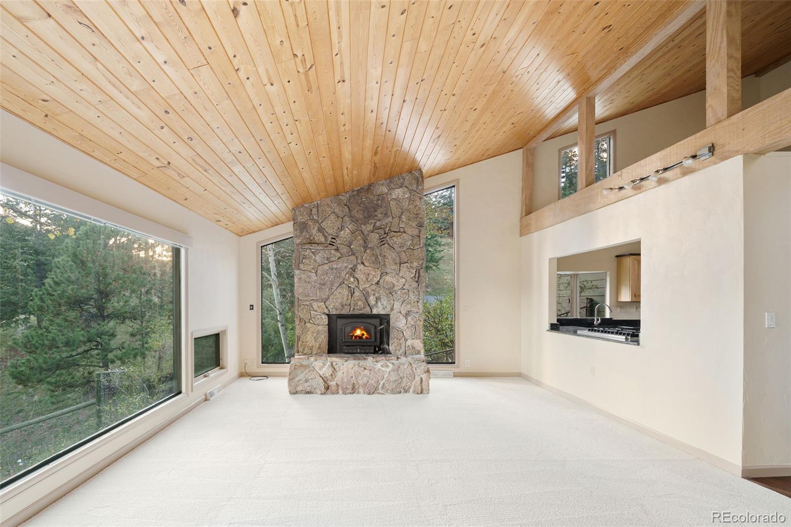 MLS Image #16 for 31753  miwok trail,evergreen, Colorado