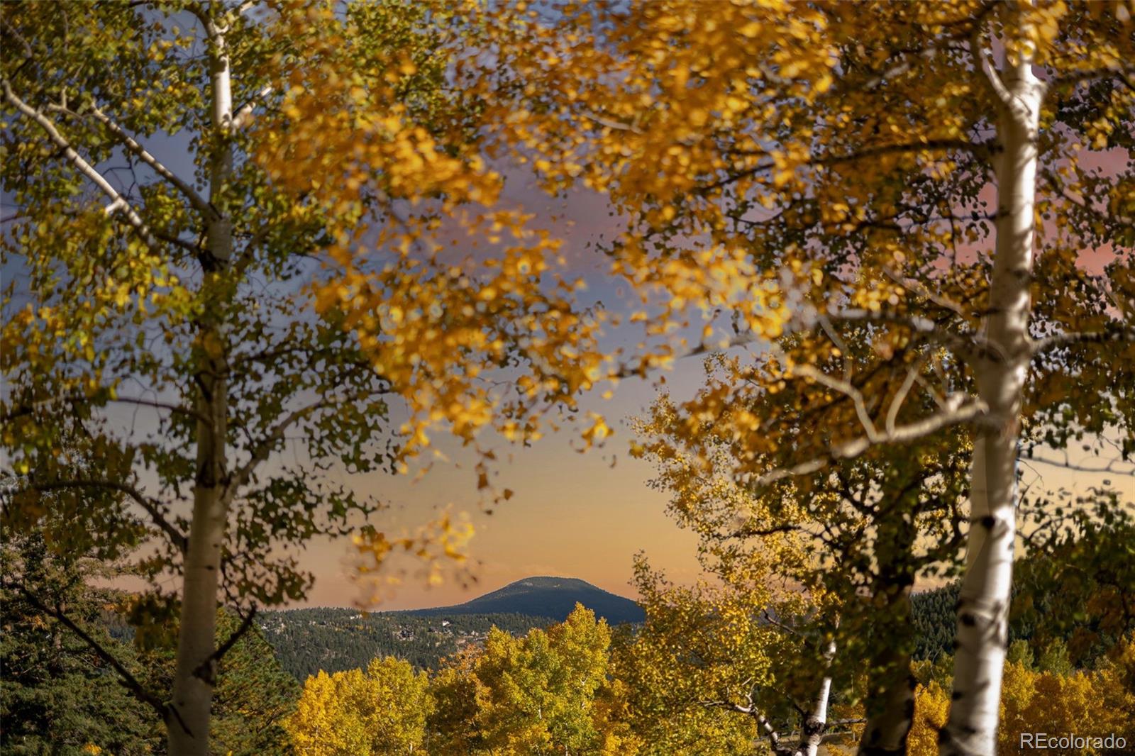 MLS Image #48 for 31753  miwok trail,evergreen, Colorado