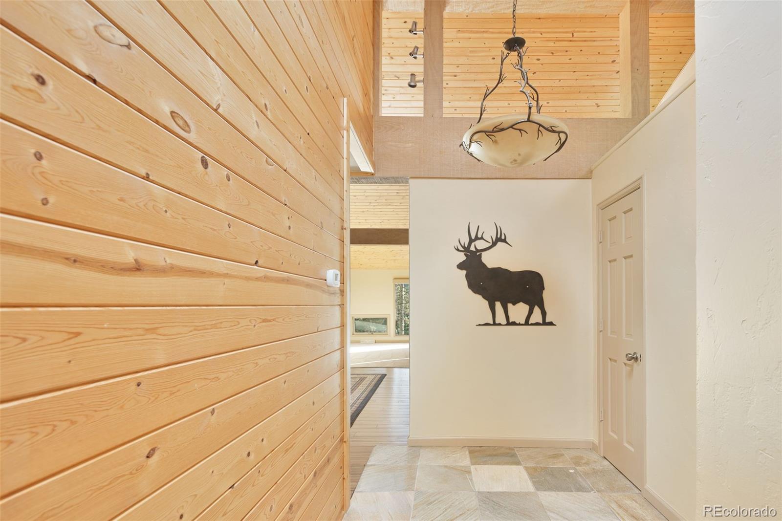 MLS Image #8 for 31753  miwok trail,evergreen, Colorado
