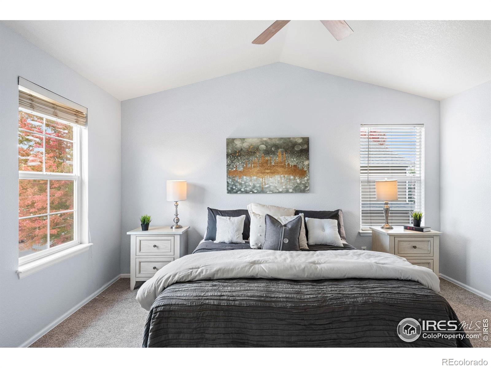MLS Image #14 for 6300  clayton street,frederick, Colorado
