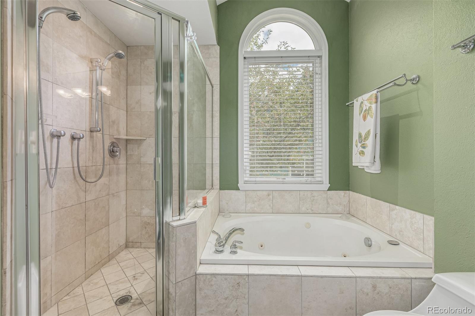 MLS Image #13 for 17633 e temple drive,aurora, Colorado