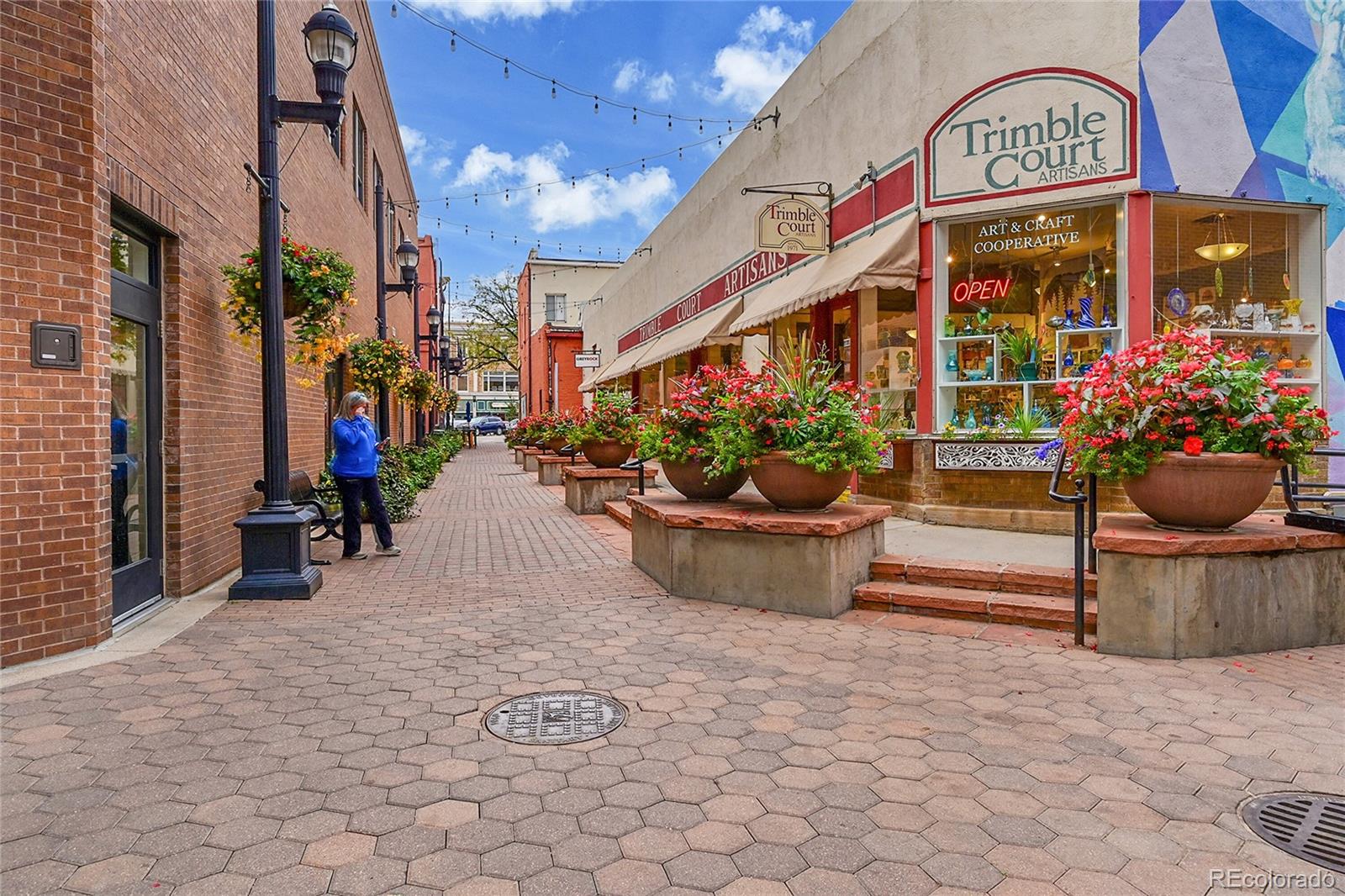 MLS Image #29 for 530  peterson street,fort collins, Colorado