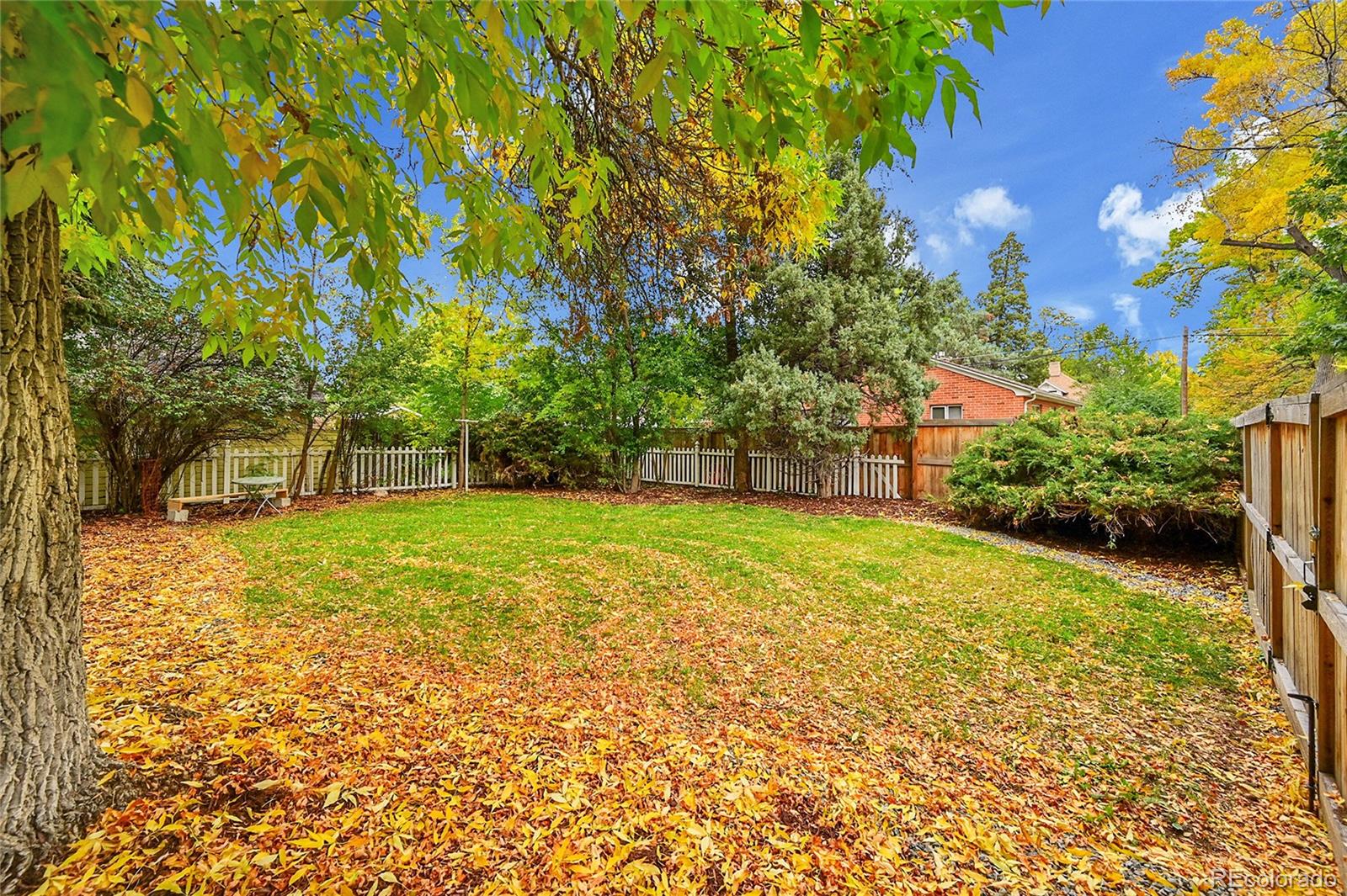 MLS Image #5 for 530  peterson street,fort collins, Colorado