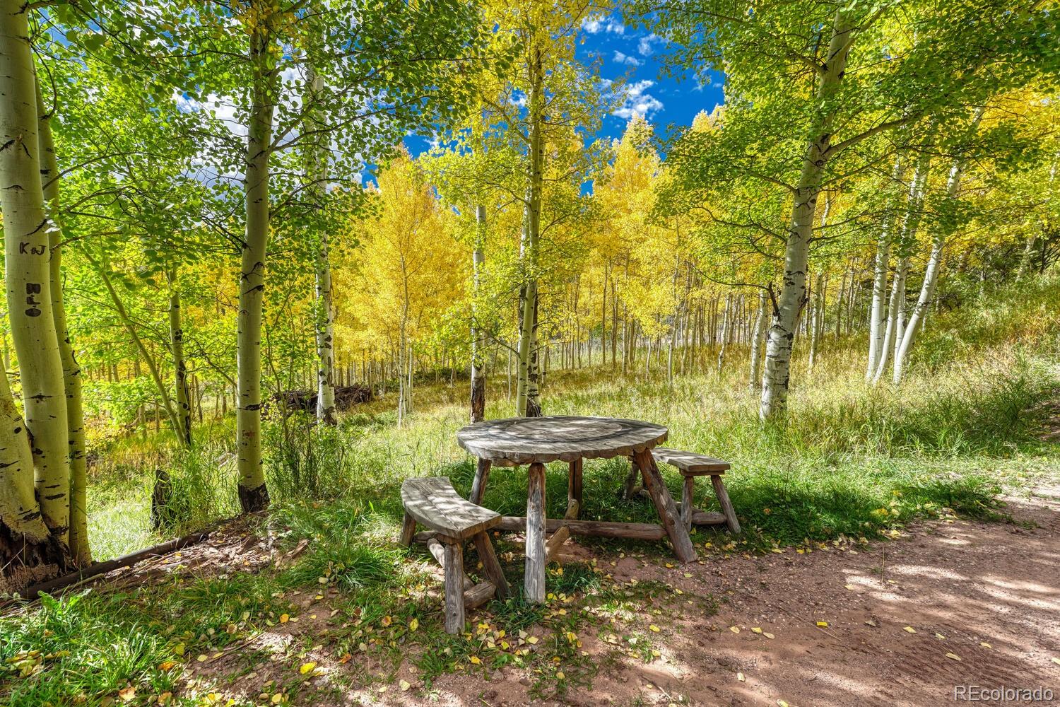 MLS Image #43 for 1141  panadero loop,cuchara, Colorado