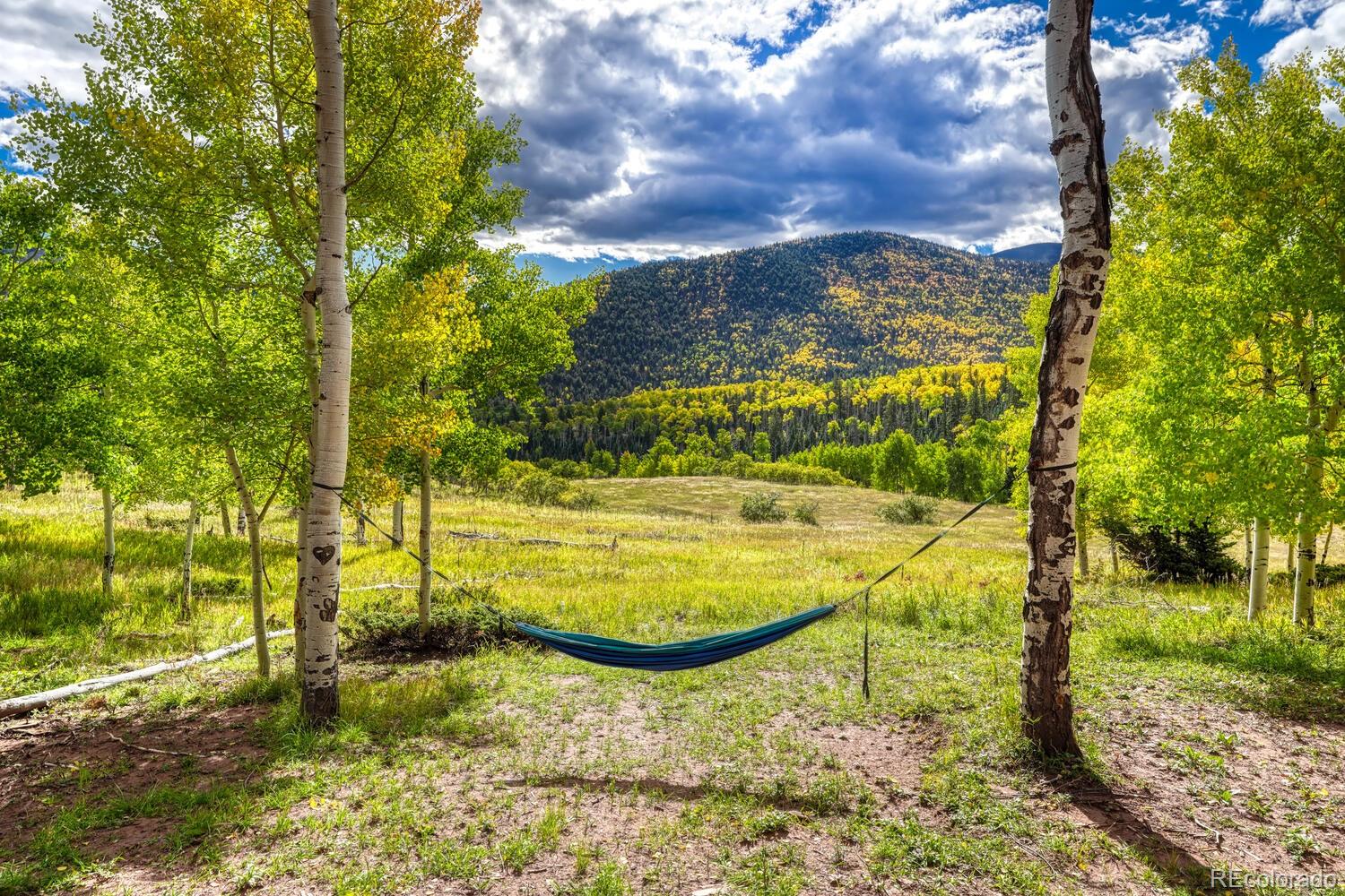 MLS Image #44 for 1141  panadero loop,cuchara, Colorado