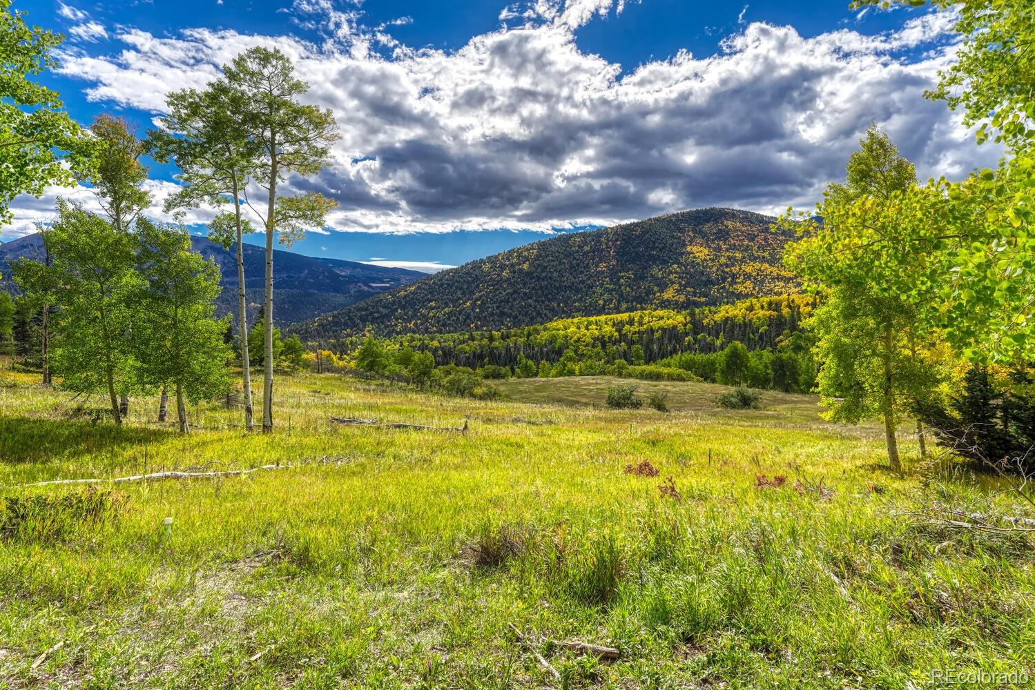 MLS Image #45 for 1141  panadero loop,cuchara, Colorado