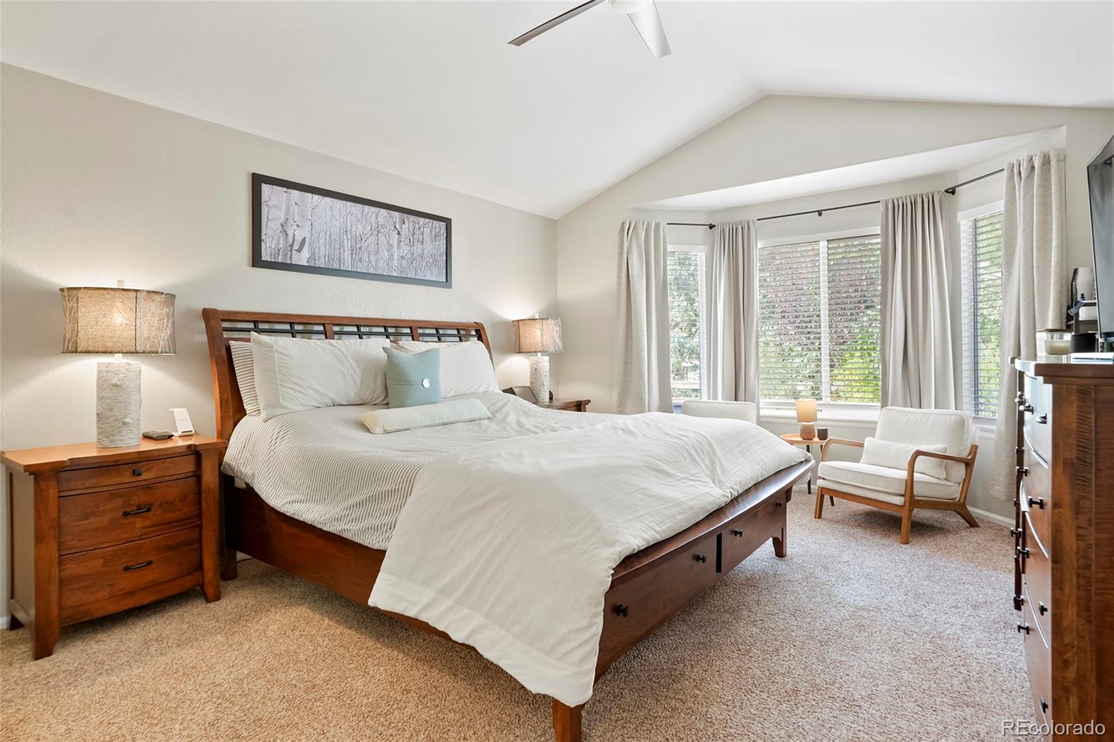 MLS Image #18 for 22389  quail run drive,parker, Colorado