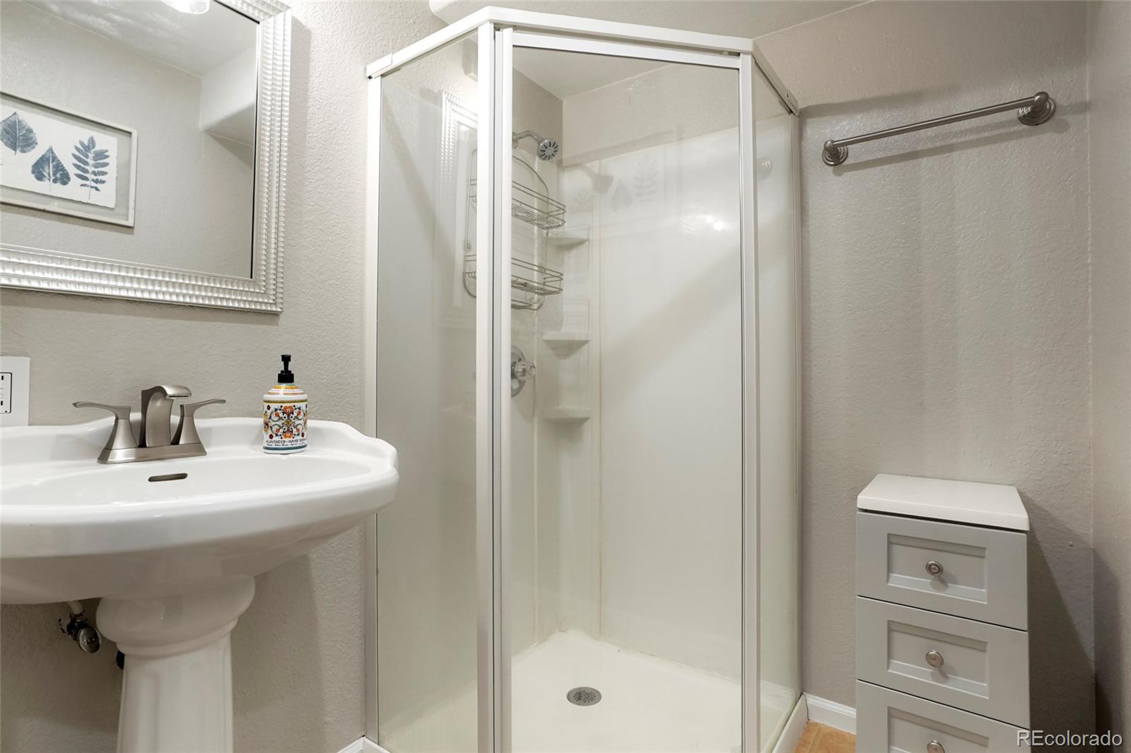 MLS Image #28 for 22389  quail run drive,parker, Colorado