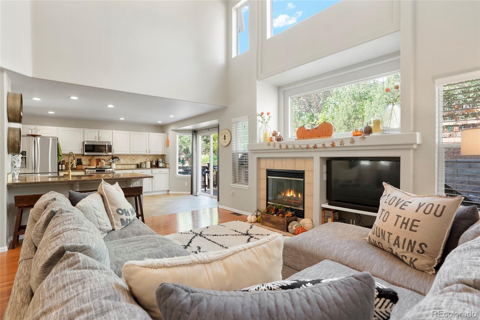 MLS Image #8 for 22389  quail run drive,parker, Colorado
