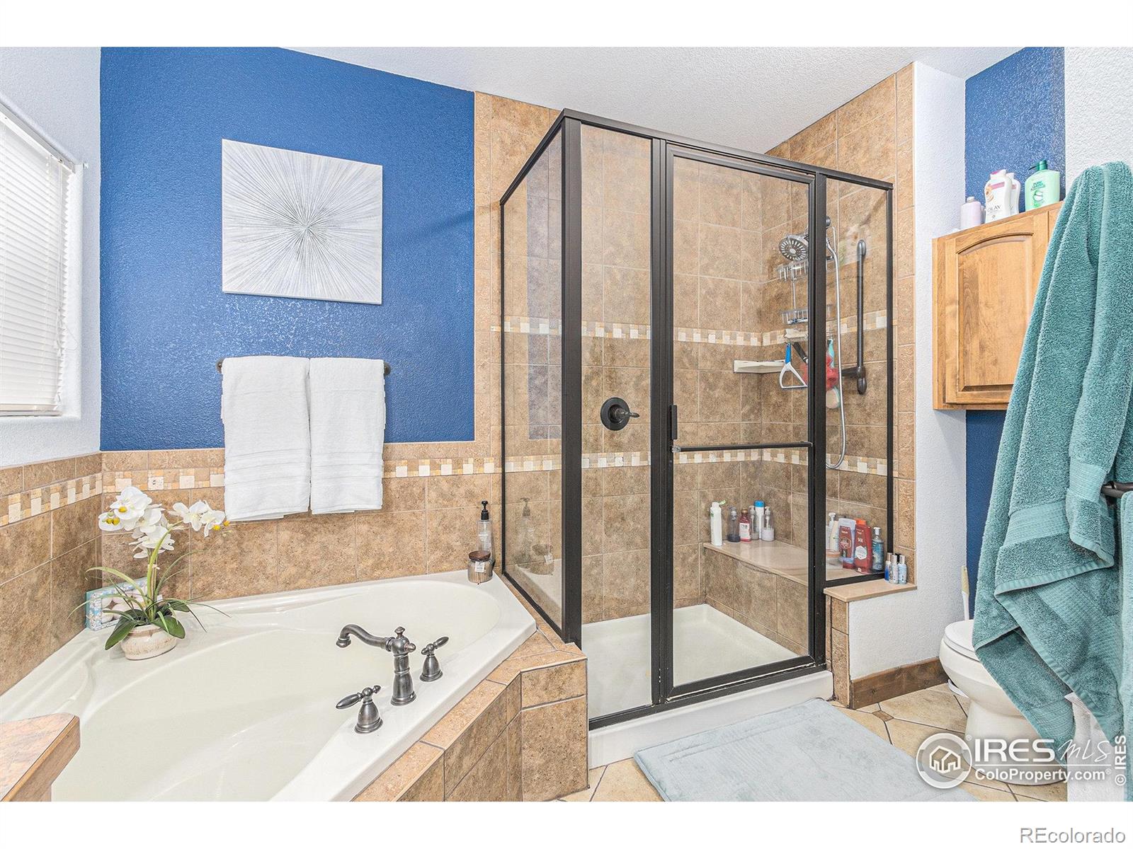 MLS Image #25 for 2050  alabama street,loveland, Colorado