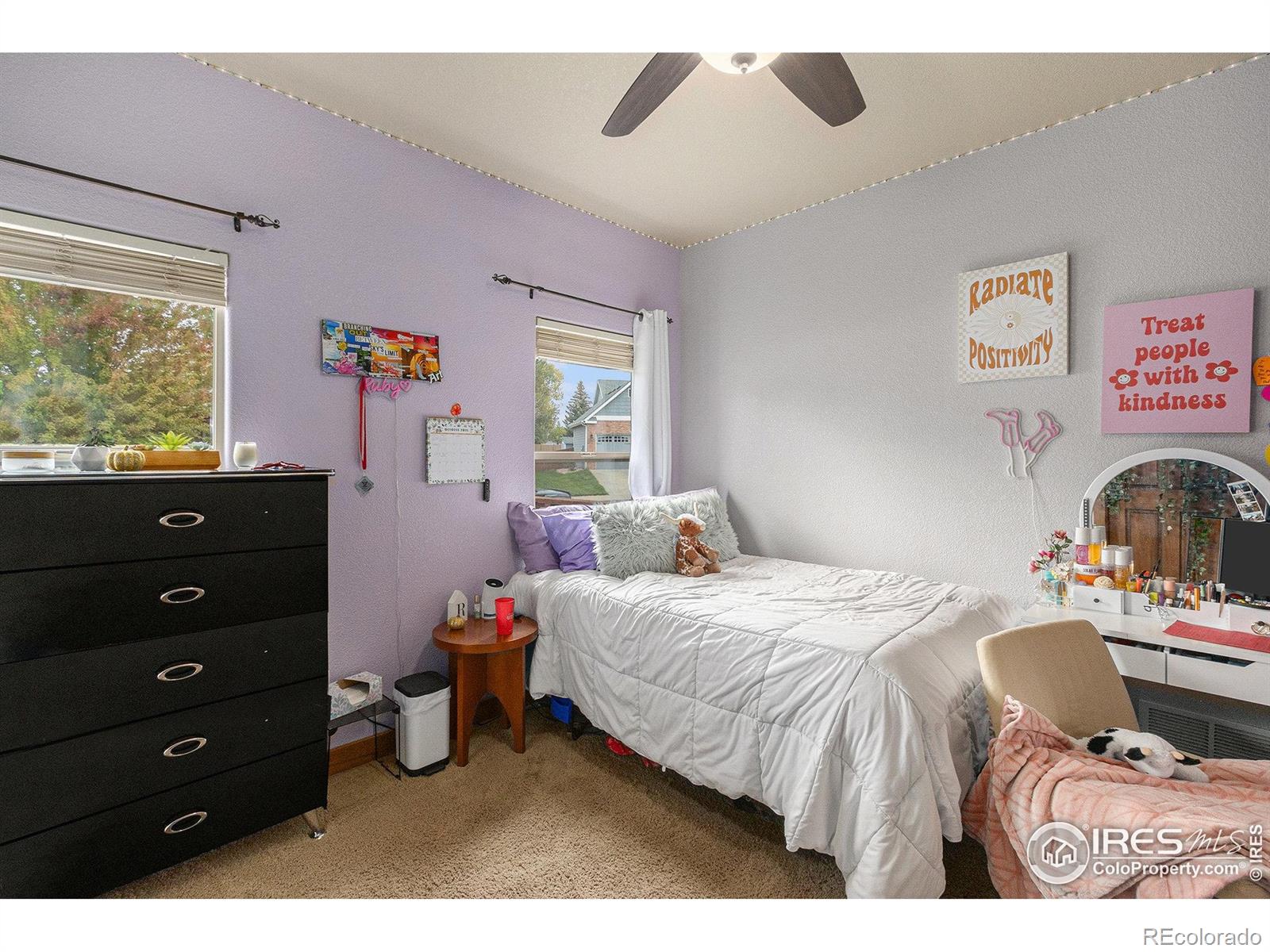 MLS Image #26 for 2050  alabama street,loveland, Colorado