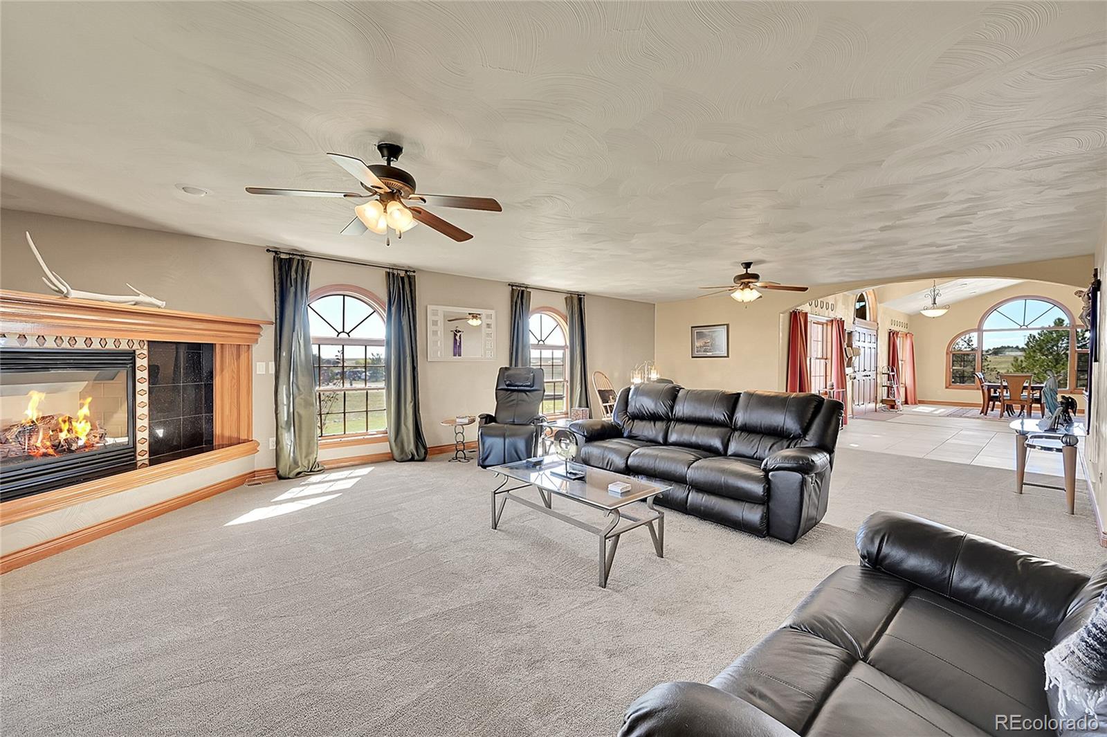 MLS Image #16 for 19530  cheryl grove,peyton, Colorado